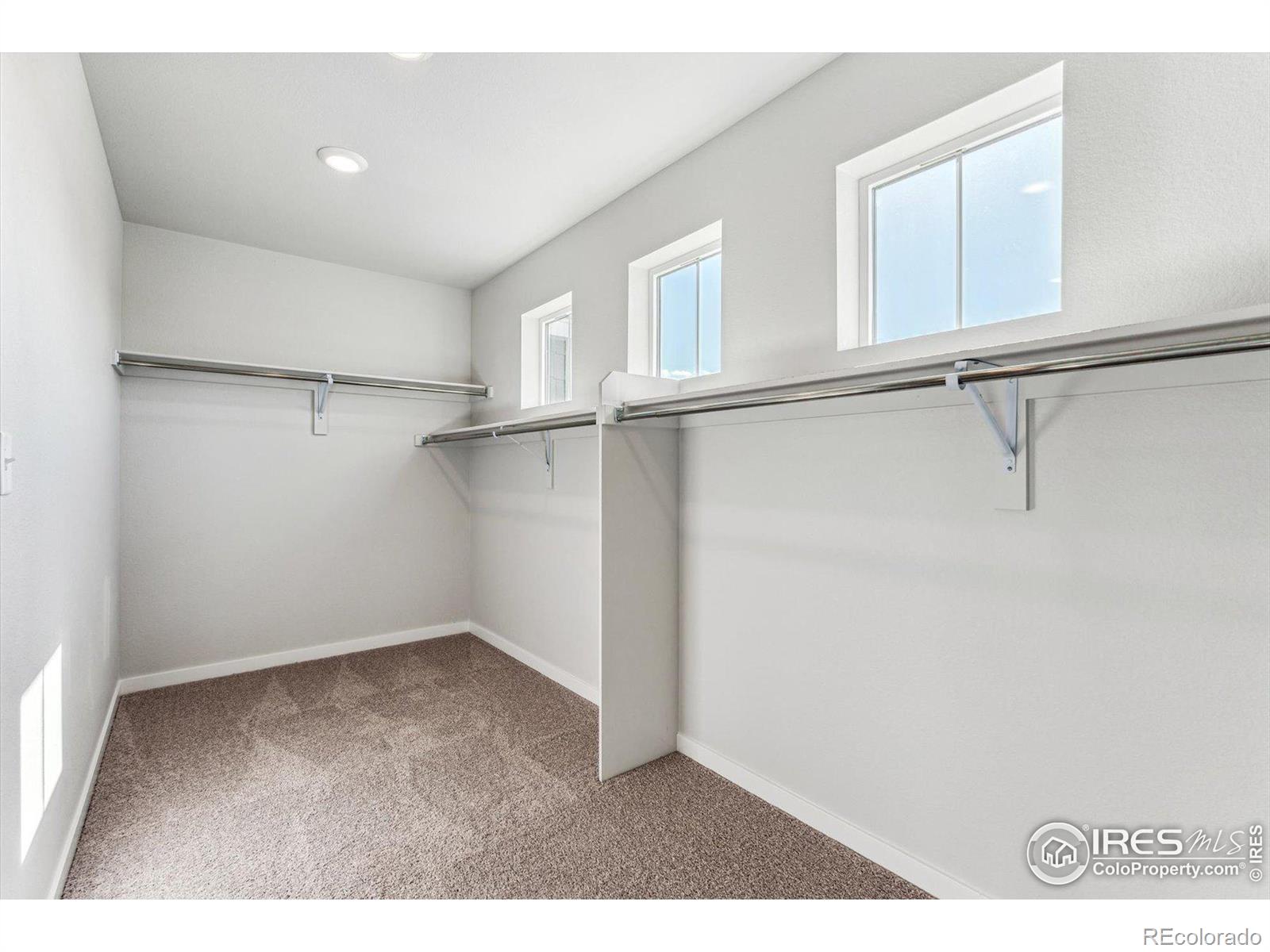 MLS Image #16 for 880  hummocky way,windsor, Colorado