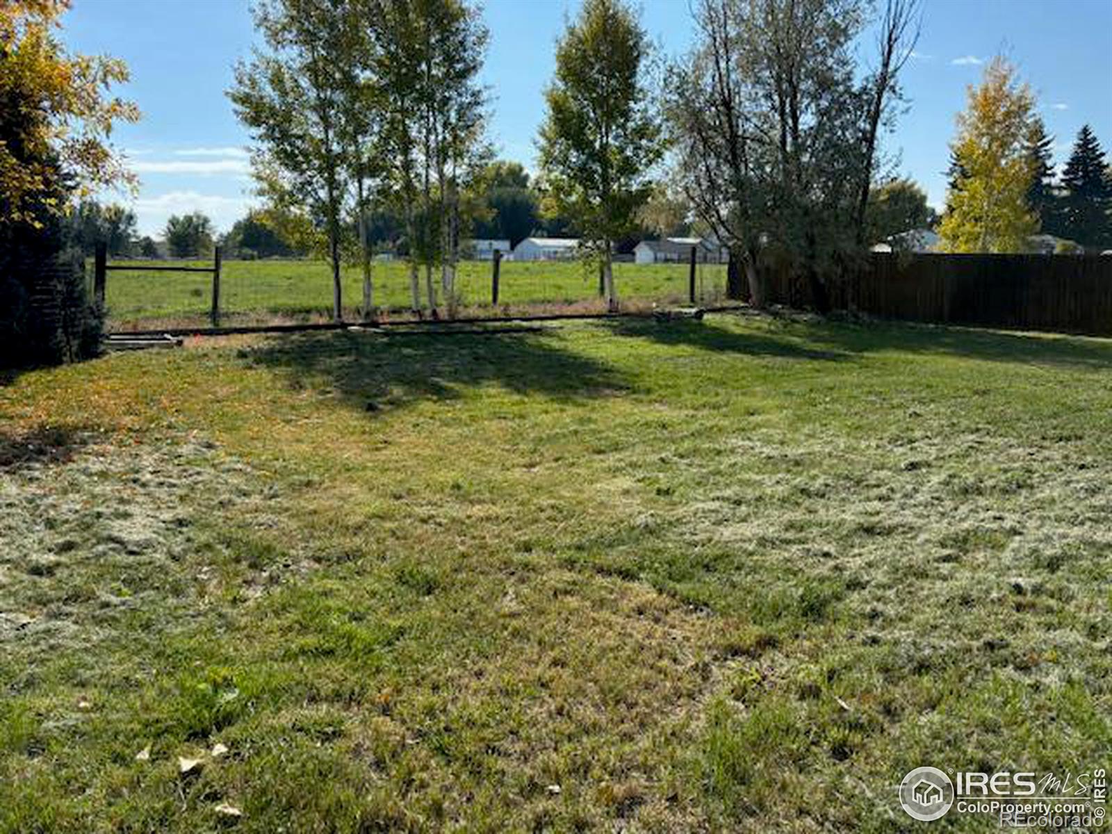 MLS Image #20 for 204  leanne drive,loveland, Colorado