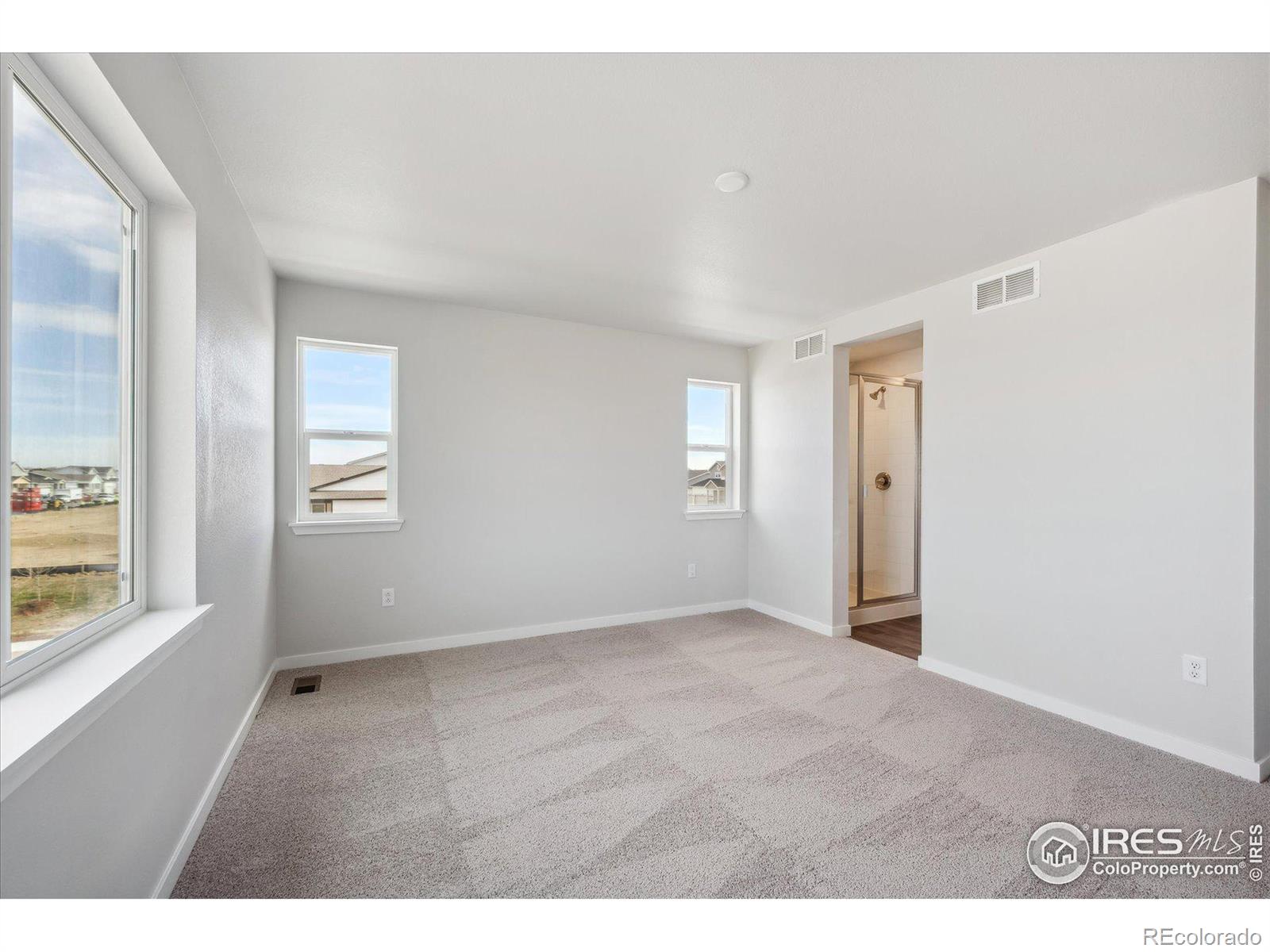 MLS Image #18 for 902  hummocky way,windsor, Colorado