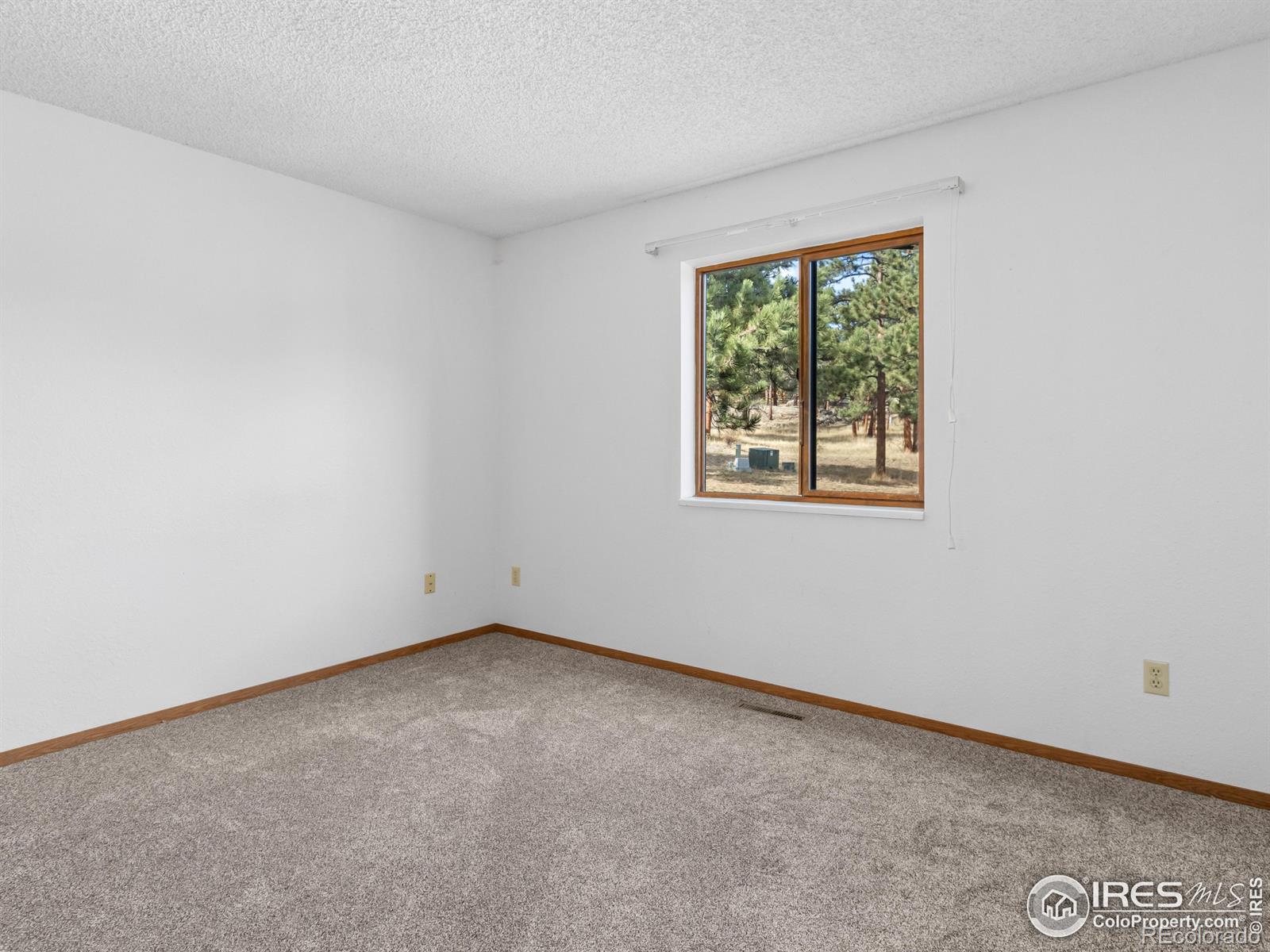 MLS Image #16 for 1155 s saint vrain avenue,estes park, Colorado