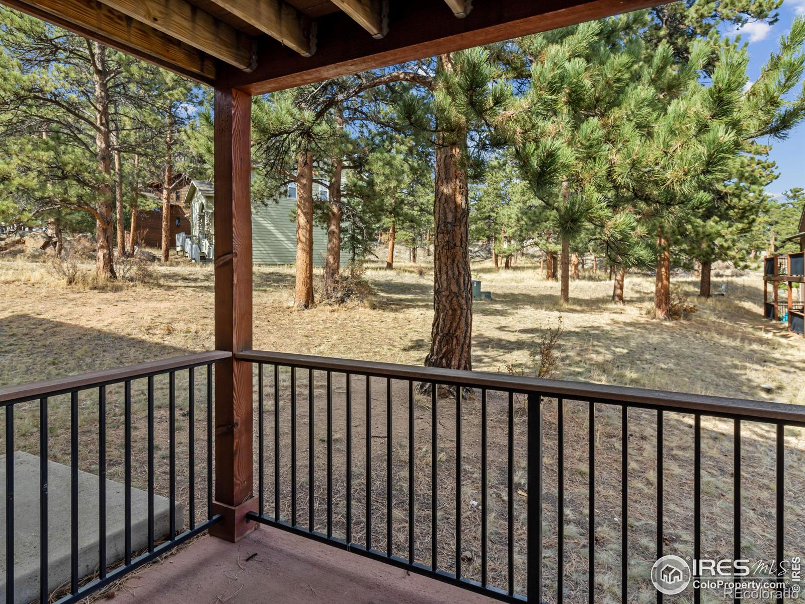 MLS Image #20 for 1155 s saint vrain avenue,estes park, Colorado