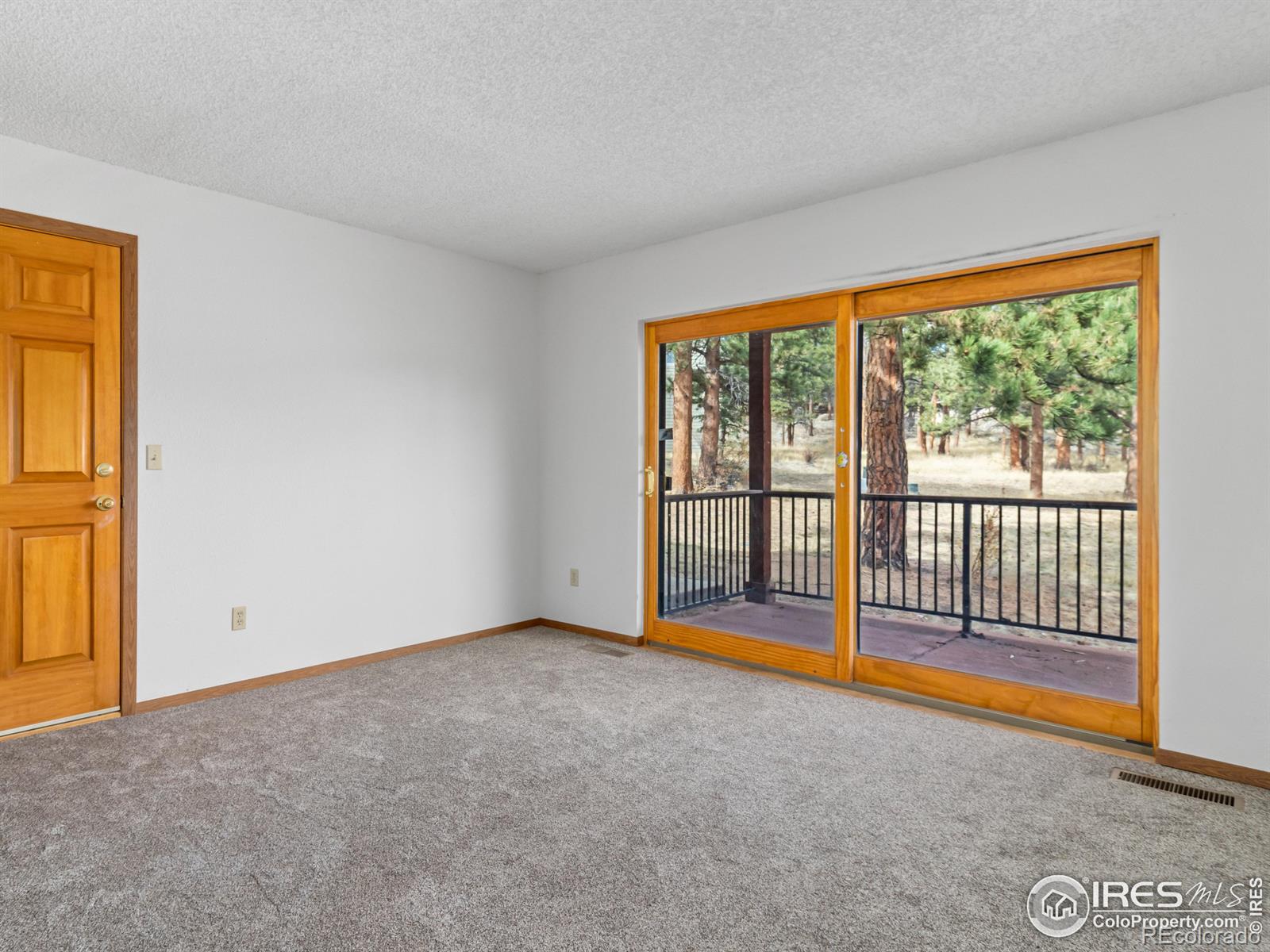 MLS Image #4 for 1155 s saint vrain avenue,estes park, Colorado