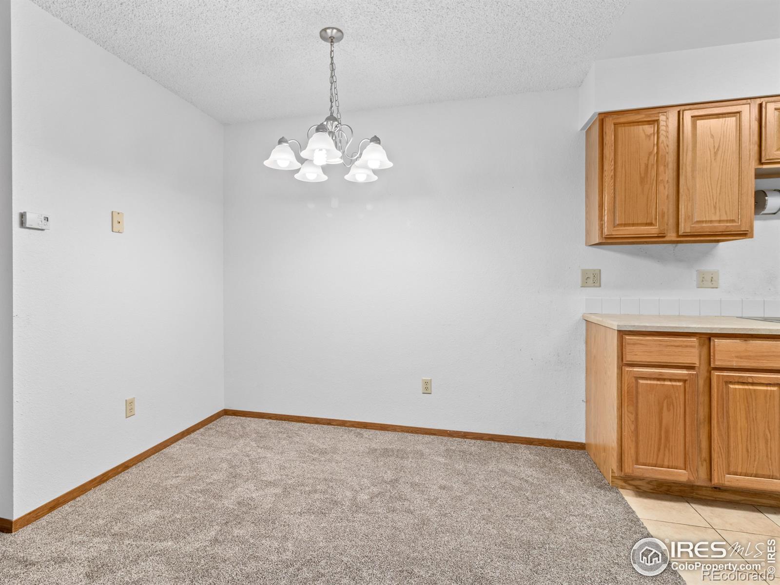 MLS Image #5 for 1155 s saint vrain avenue,estes park, Colorado