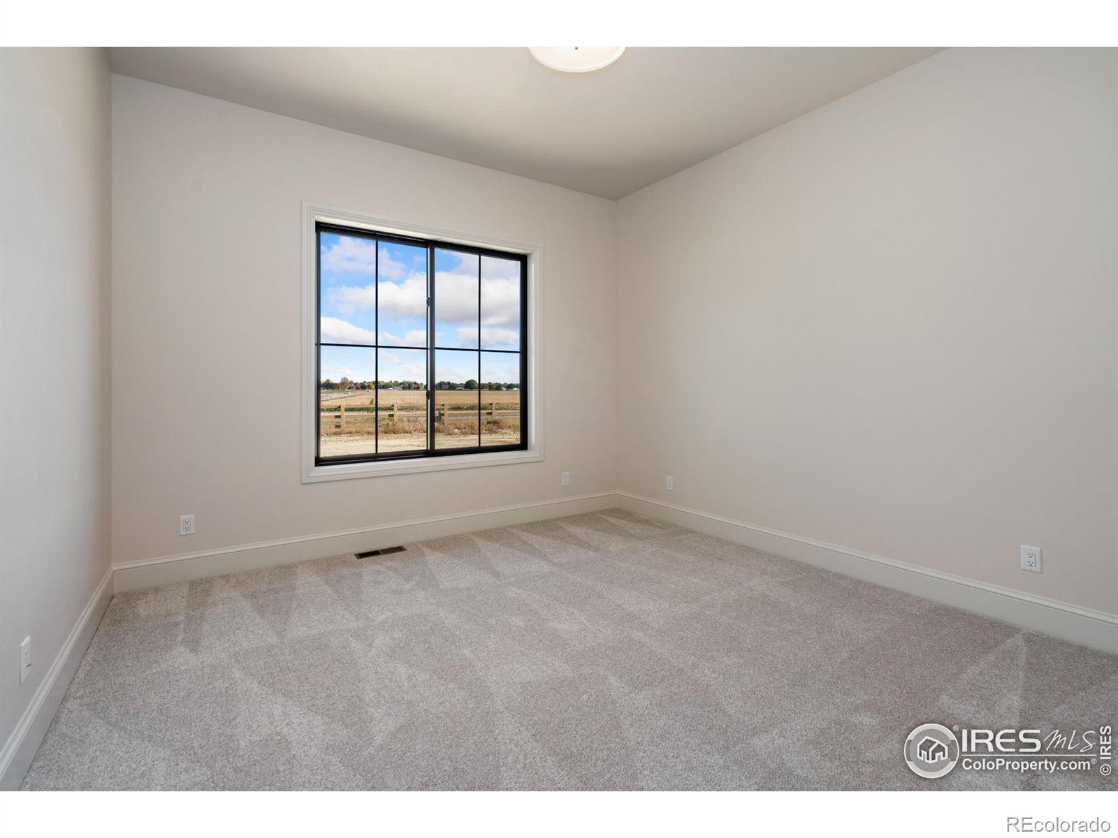 MLS Image #20 for 951  warbling drive,windsor, Colorado