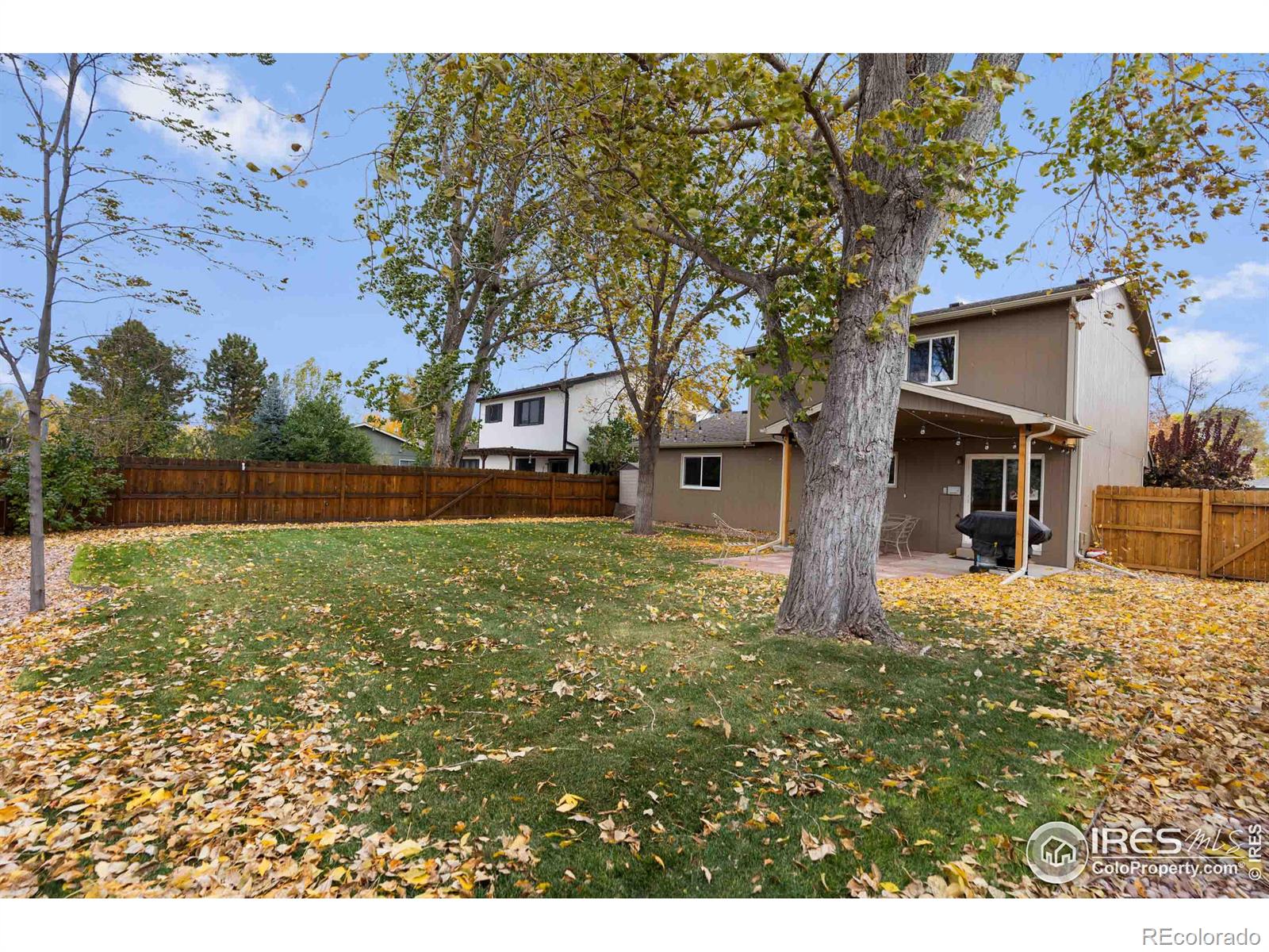 MLS Image #3 for 3401  sun disk court,fort collins, Colorado