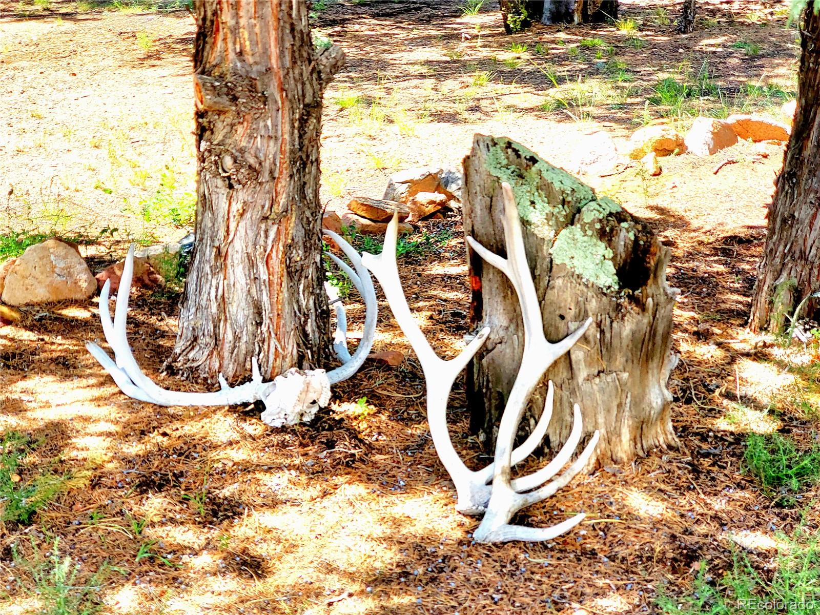 MLS Image #6 for 1226  e path ,cotopaxi, Colorado