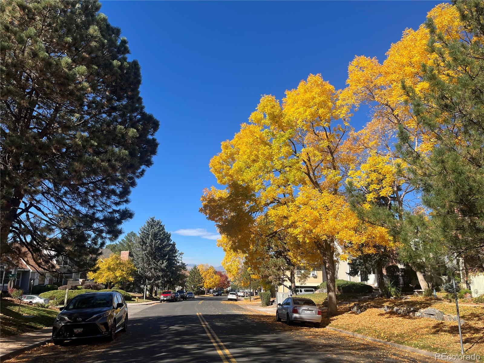 MLS Image #26 for 2921 w long drive,littleton, Colorado