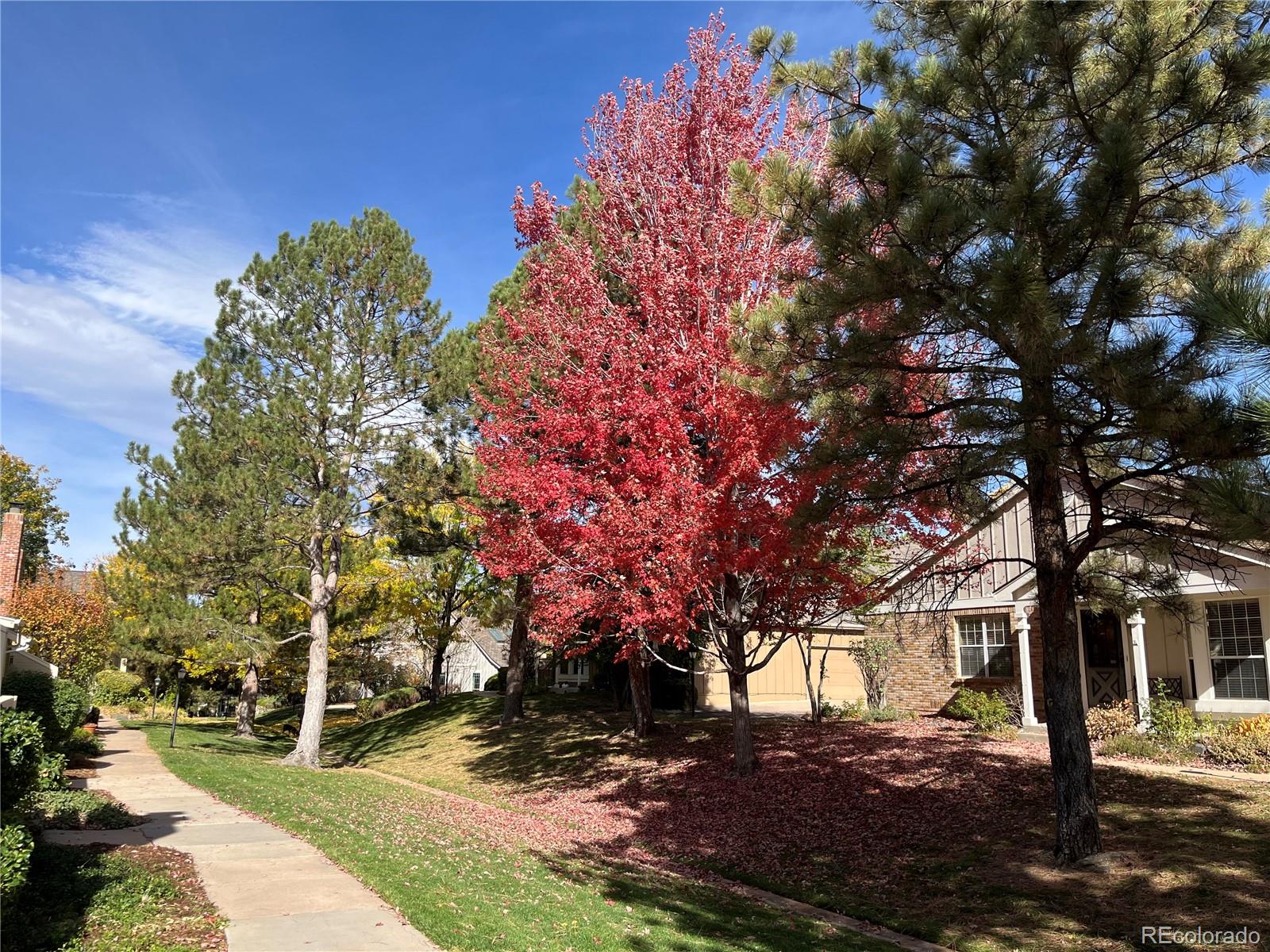 MLS Image #27 for 2921 w long drive,littleton, Colorado