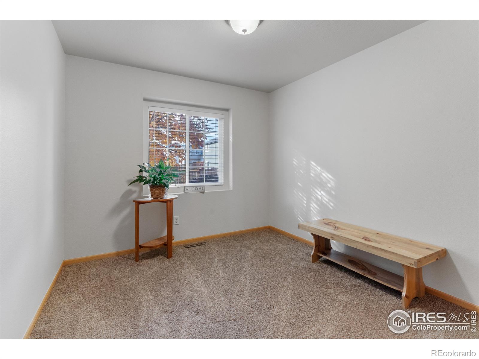 MLS Image #20 for 3401  coal creek street,loveland, Colorado