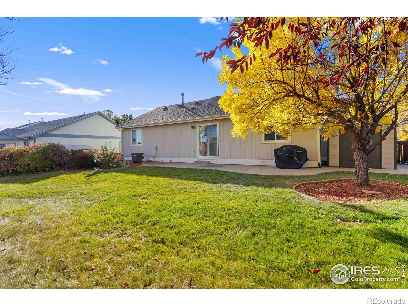 MLS Image #26 for 3401  coal creek street,loveland, Colorado