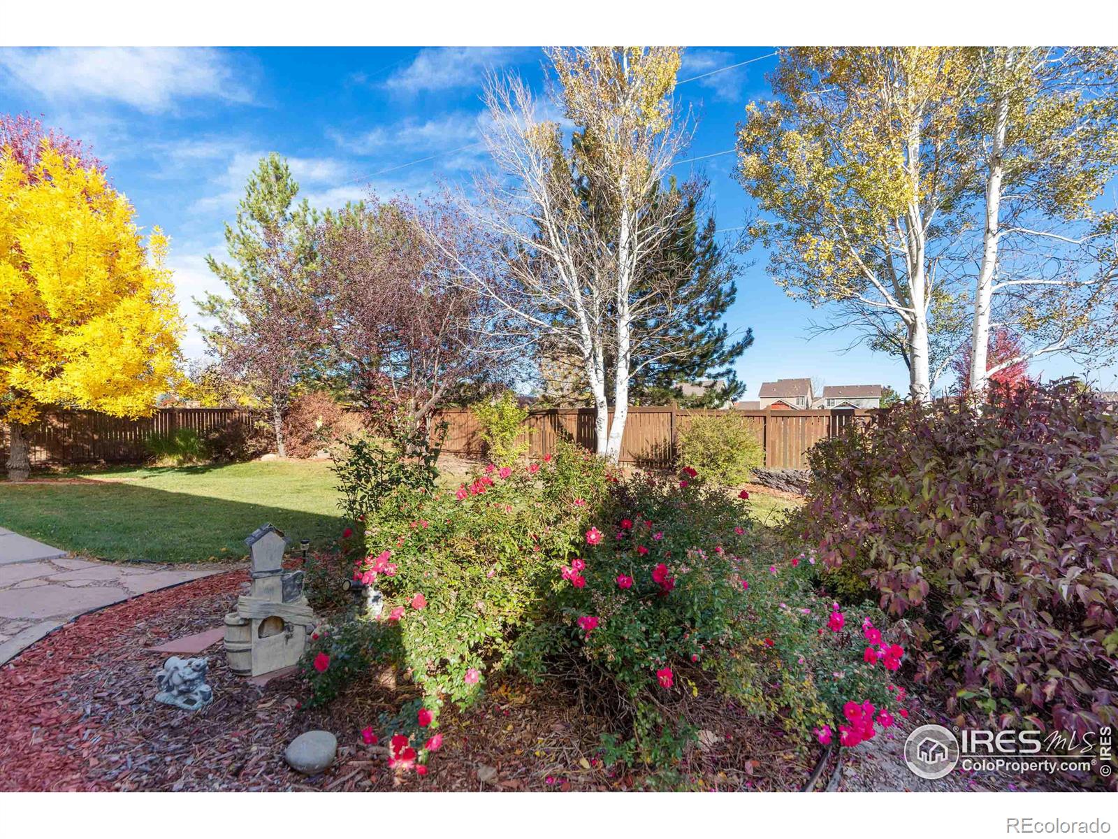 MLS Image #28 for 3401  coal creek street,loveland, Colorado