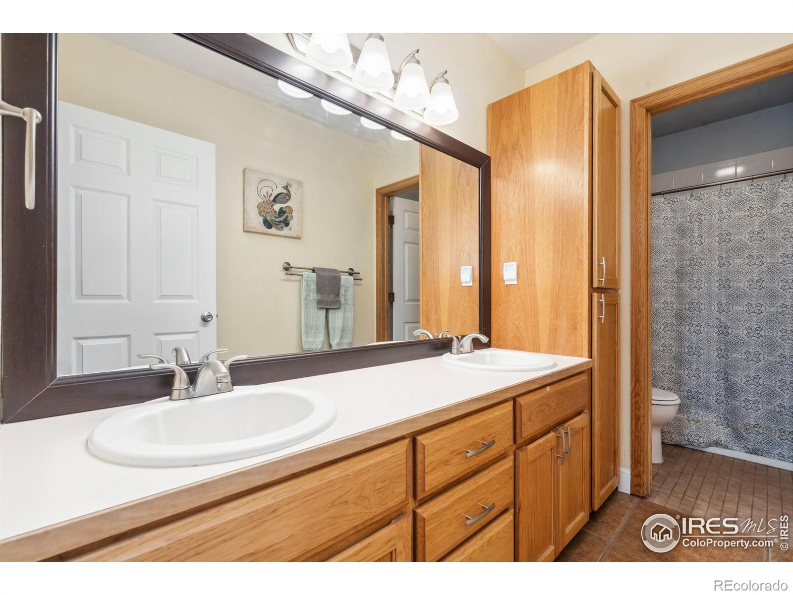 MLS Image #30 for 6106  hamilton court,fort collins, Colorado