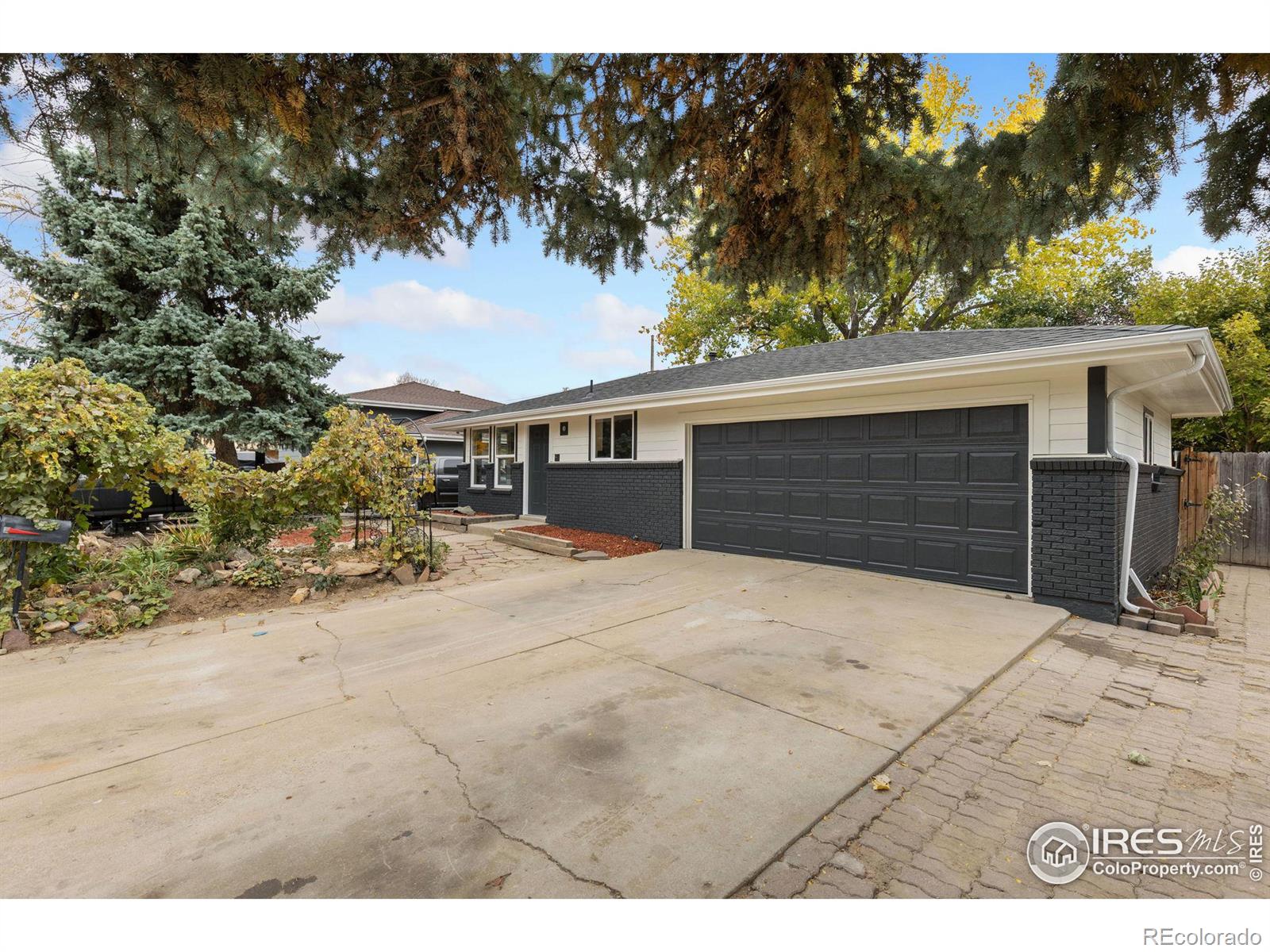 MLS Image #2 for 1339  martin street,longmont, Colorado