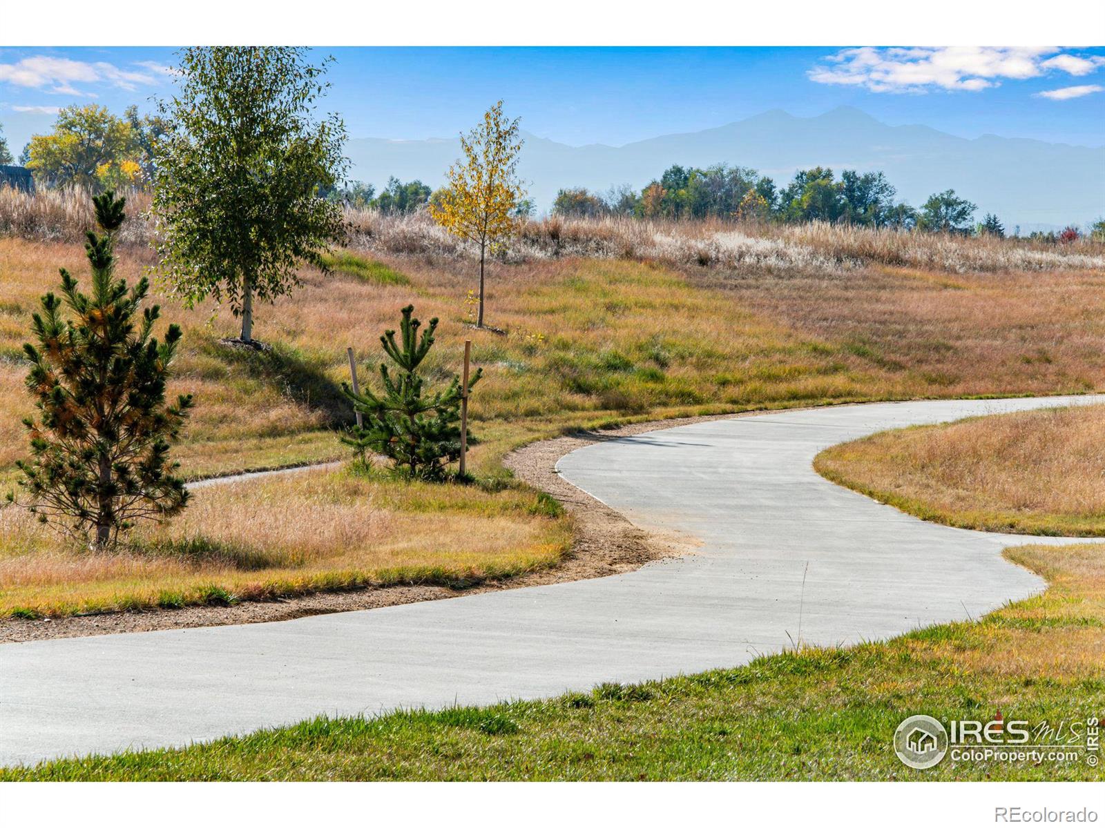 MLS Image #35 for 5063  john muir drive,timnath, Colorado