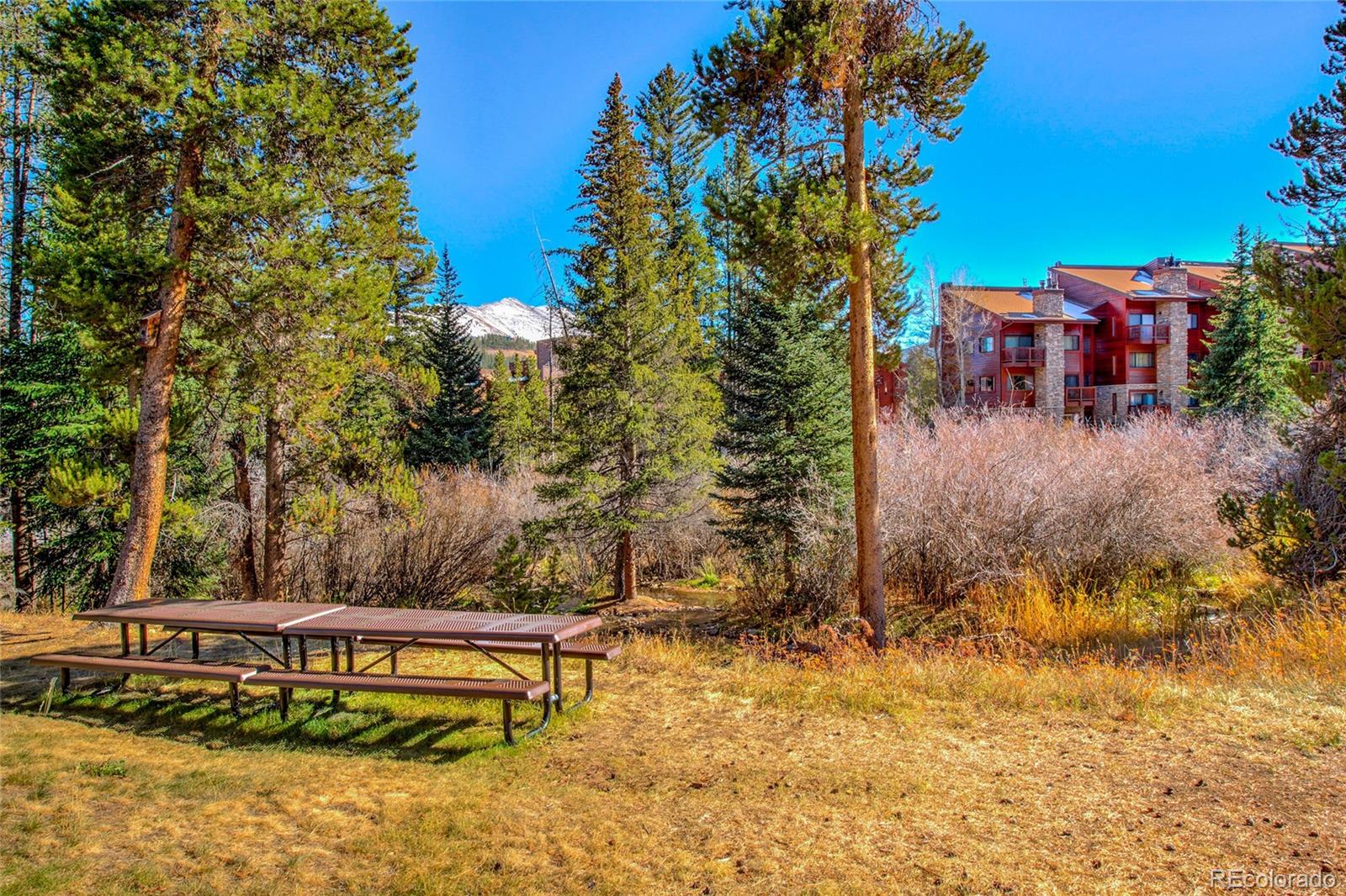 MLS Image #19 for 110  sawmill road,breckenridge, Colorado