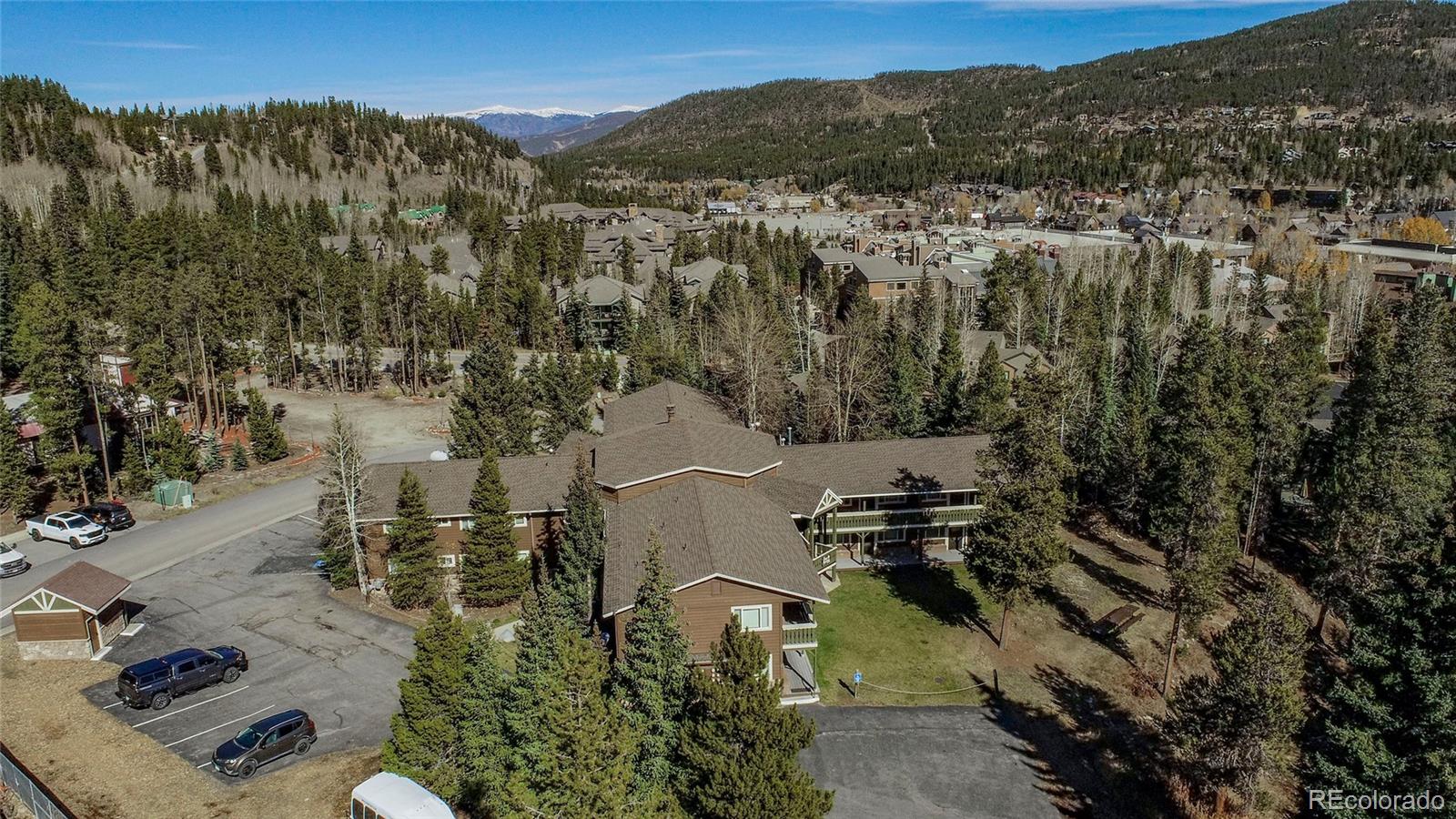 MLS Image #22 for 110  sawmill road,breckenridge, Colorado