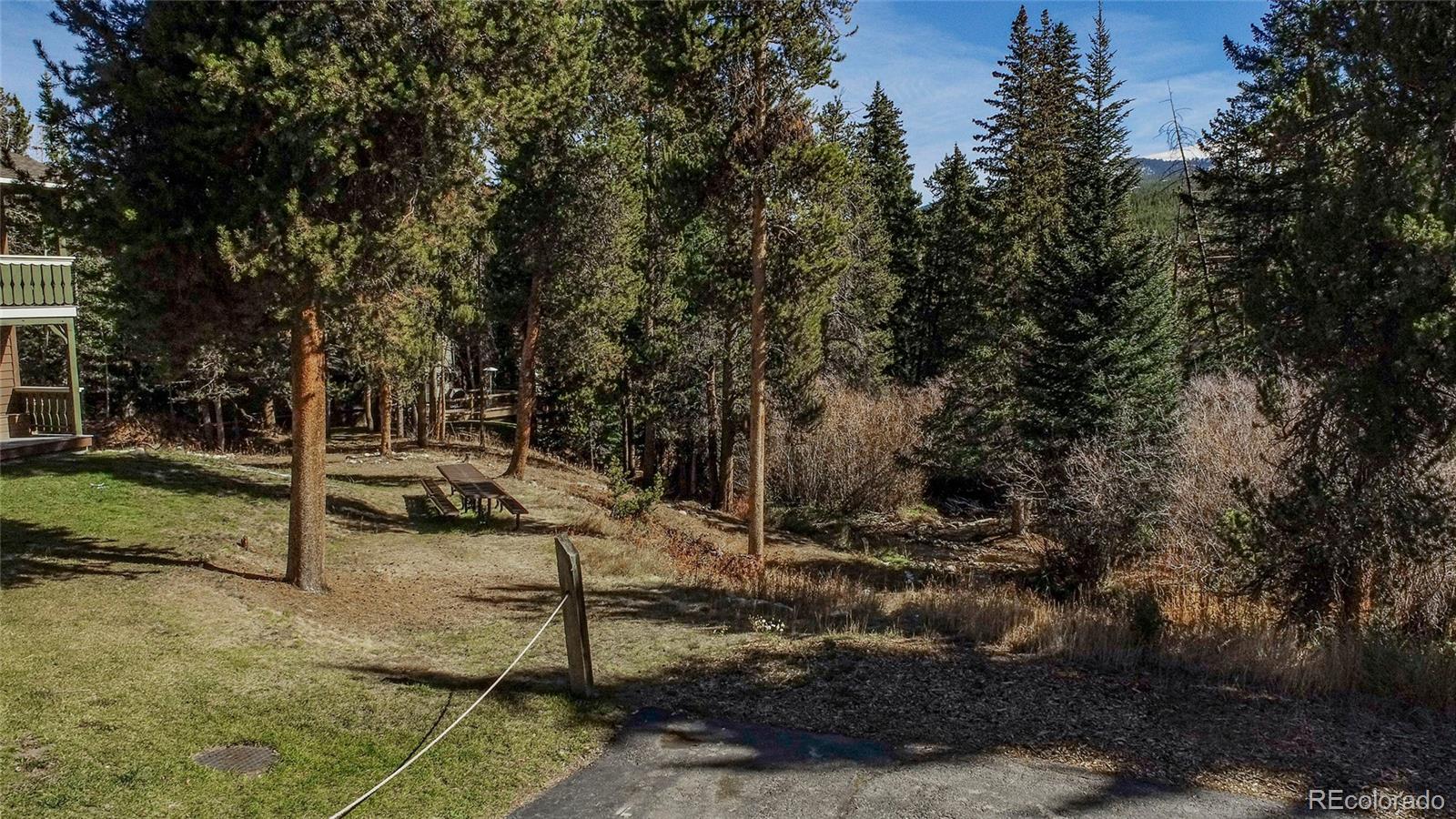 MLS Image #23 for 110  sawmill road,breckenridge, Colorado