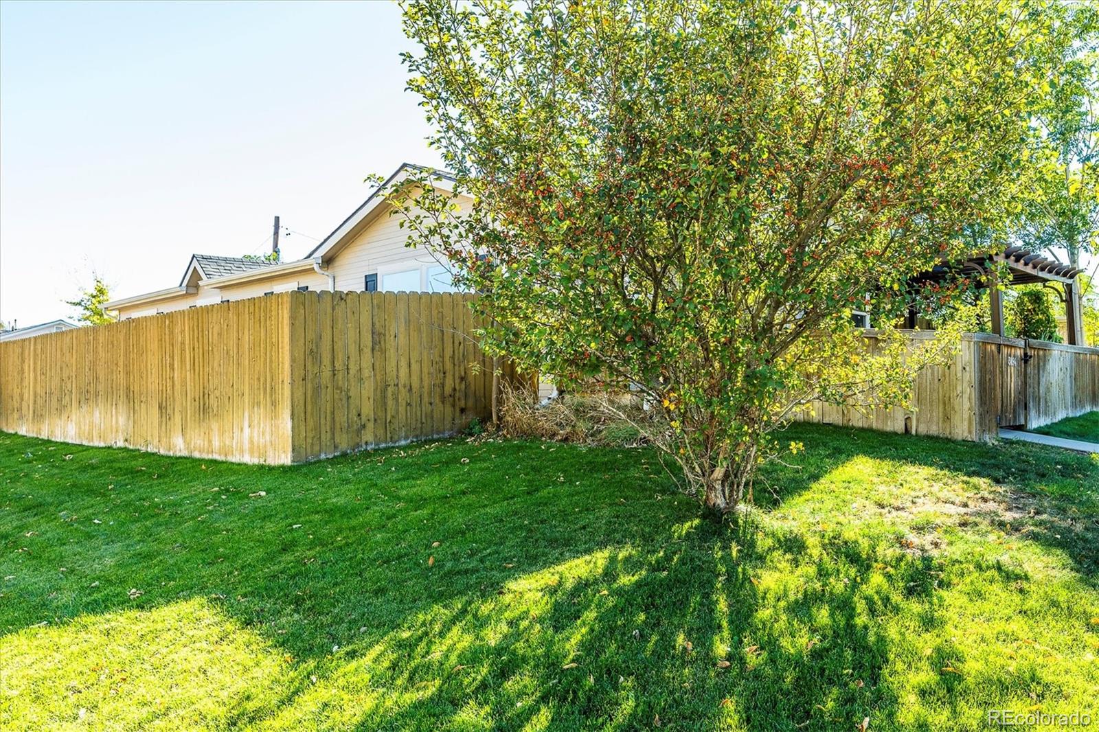 MLS Image #2 for 3094  ivanhoe street,denver, Colorado