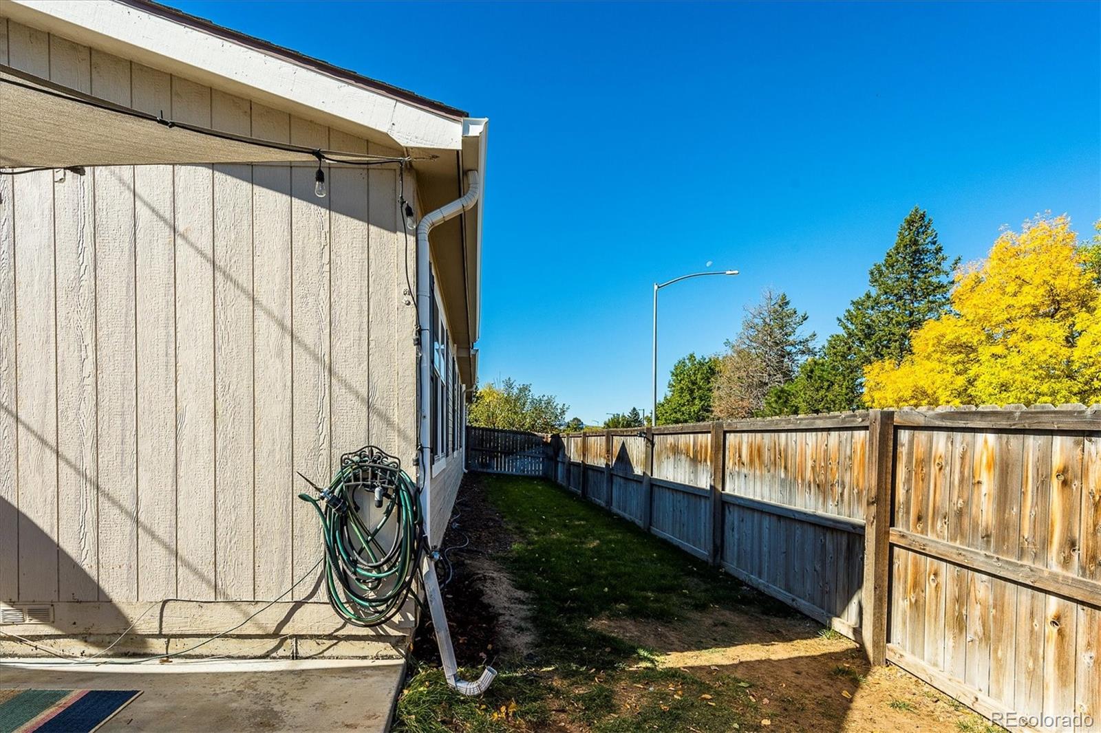 MLS Image #6 for 3094  ivanhoe street,denver, Colorado