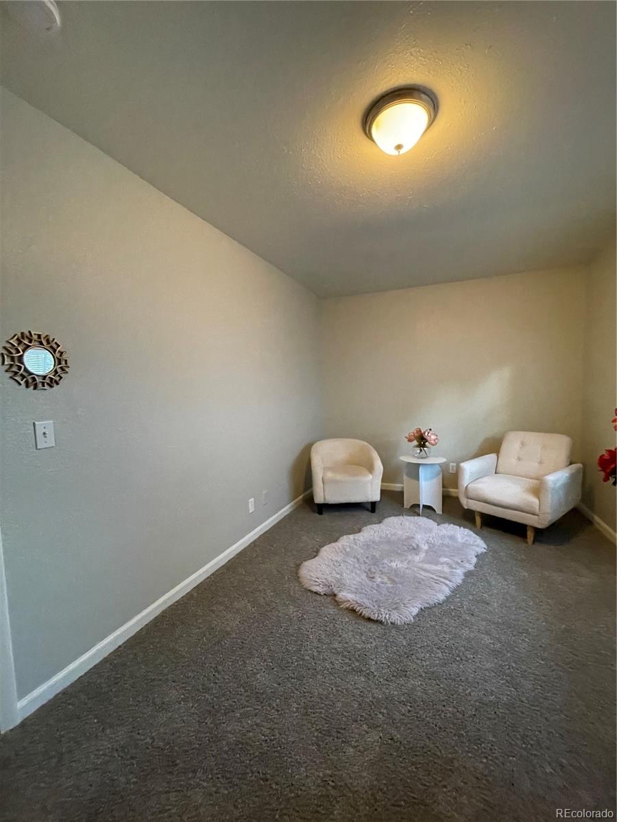 MLS Image #20 for 1245  emporia street,aurora, Colorado