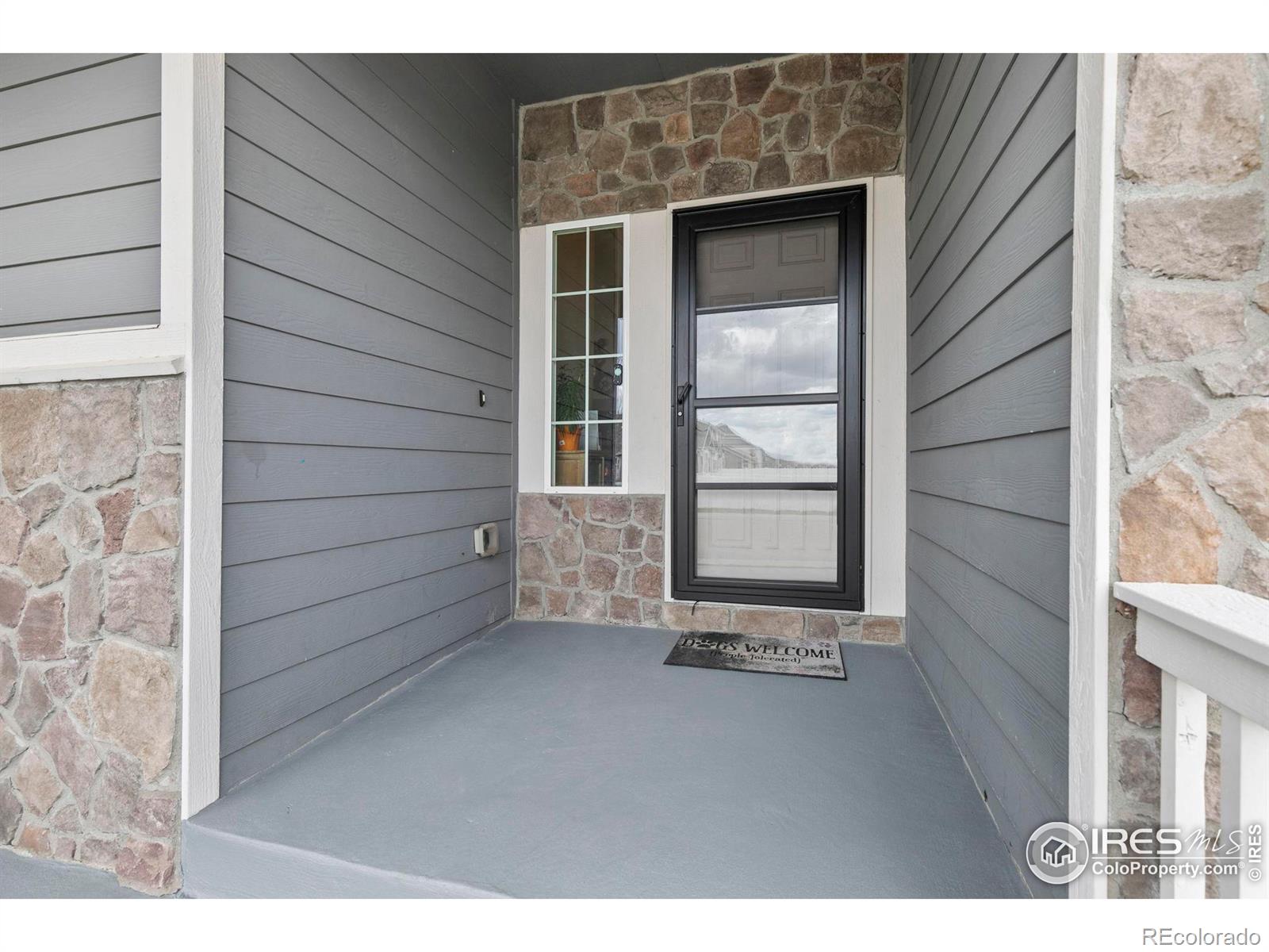 MLS Image #3 for 4216  paddock drive,wellington, Colorado