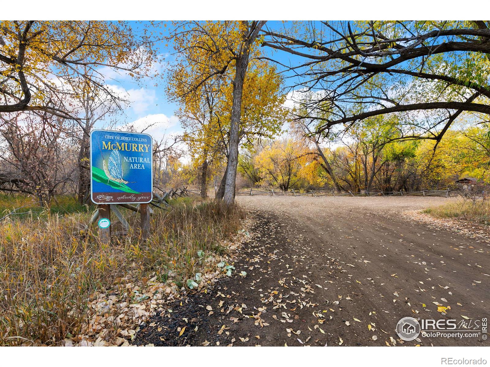 MLS Image #20 for 324  sundance circle,fort collins, Colorado