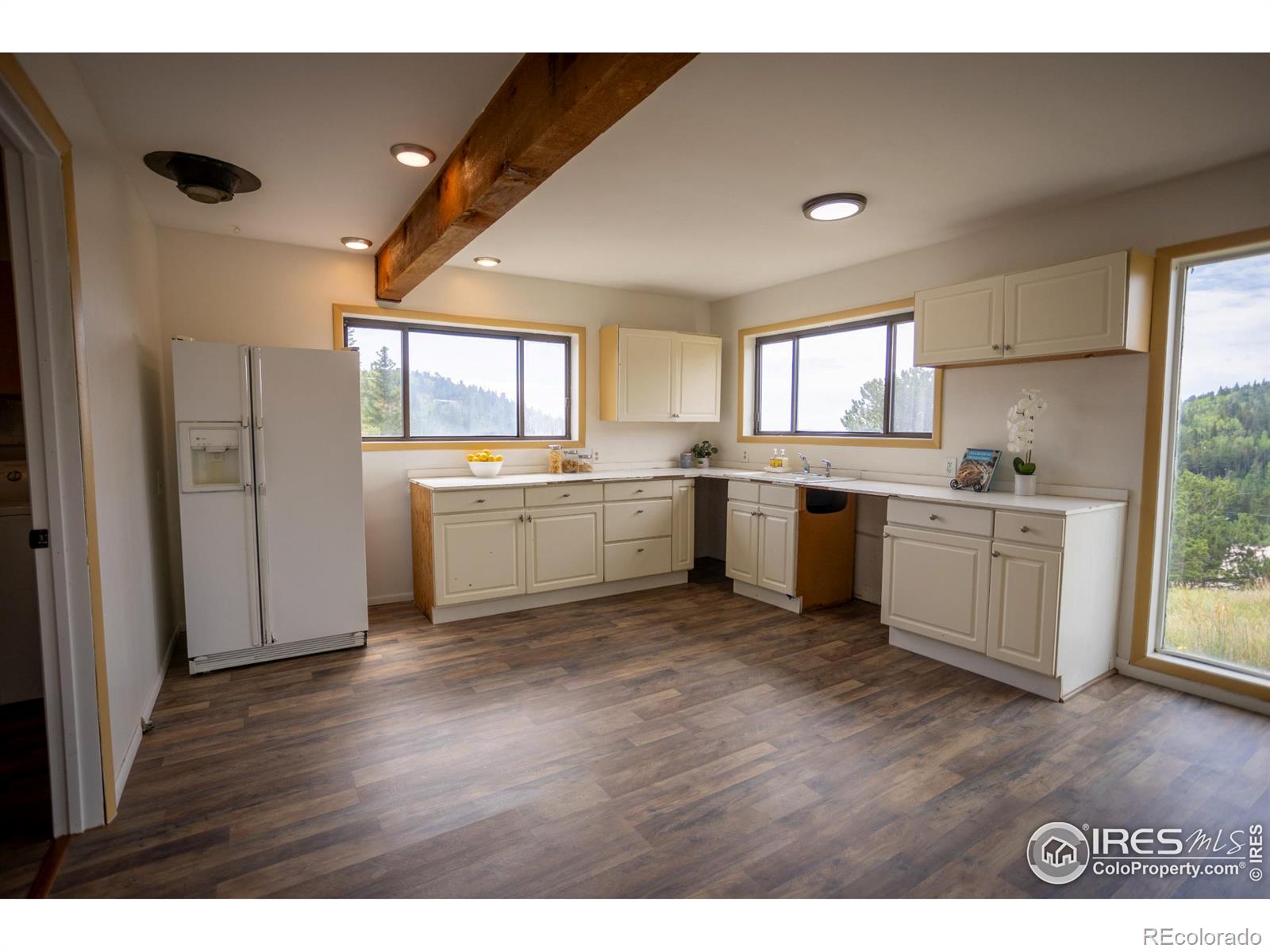 MLS Image #8 for 25  chatham street,ward, Colorado