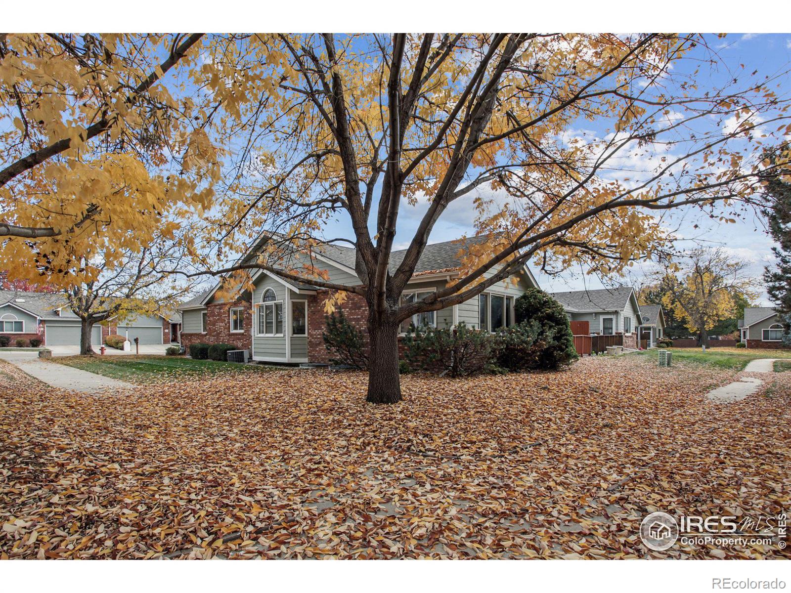 MLS Image #23 for 1533  tulip court,longmont, Colorado