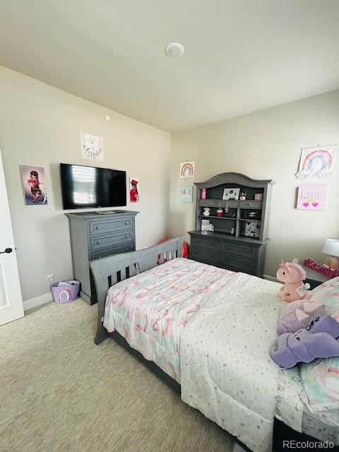 MLS Image #14 for 10121 e 160th place,brighton, Colorado