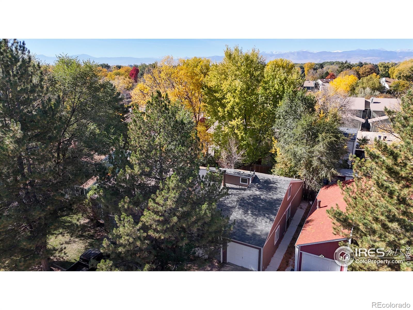 MLS Image #31 for 1227  meadow street,longmont, Colorado