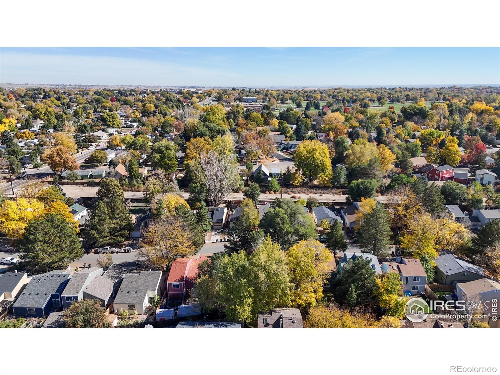 MLS Image #33 for 1227  meadow street,longmont, Colorado