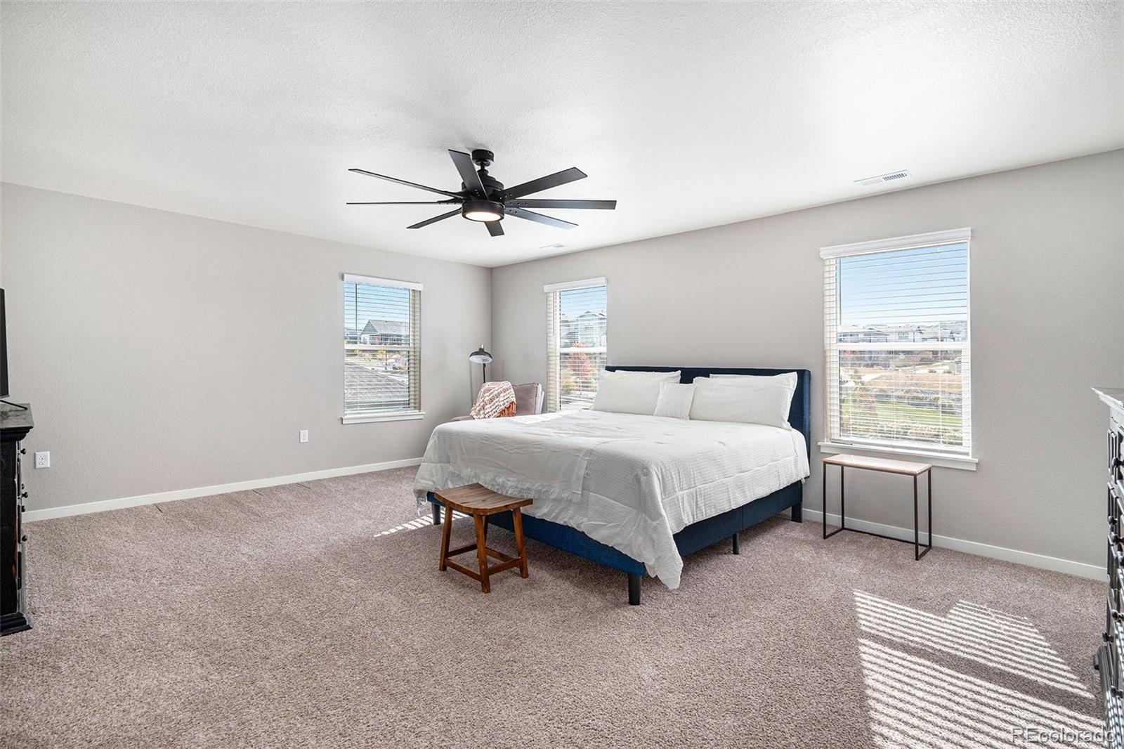 MLS Image #18 for 17308  red cosmos point,parker, Colorado