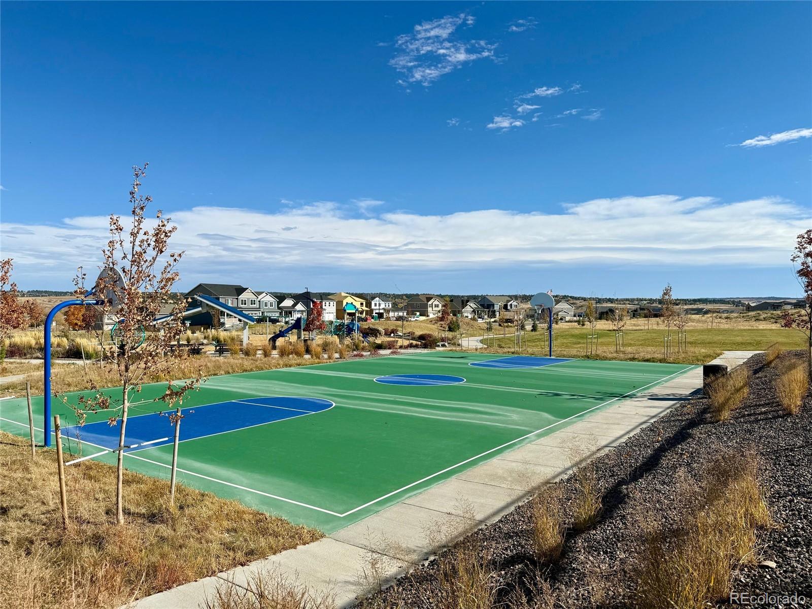 MLS Image #31 for 17308  red cosmos point,parker, Colorado