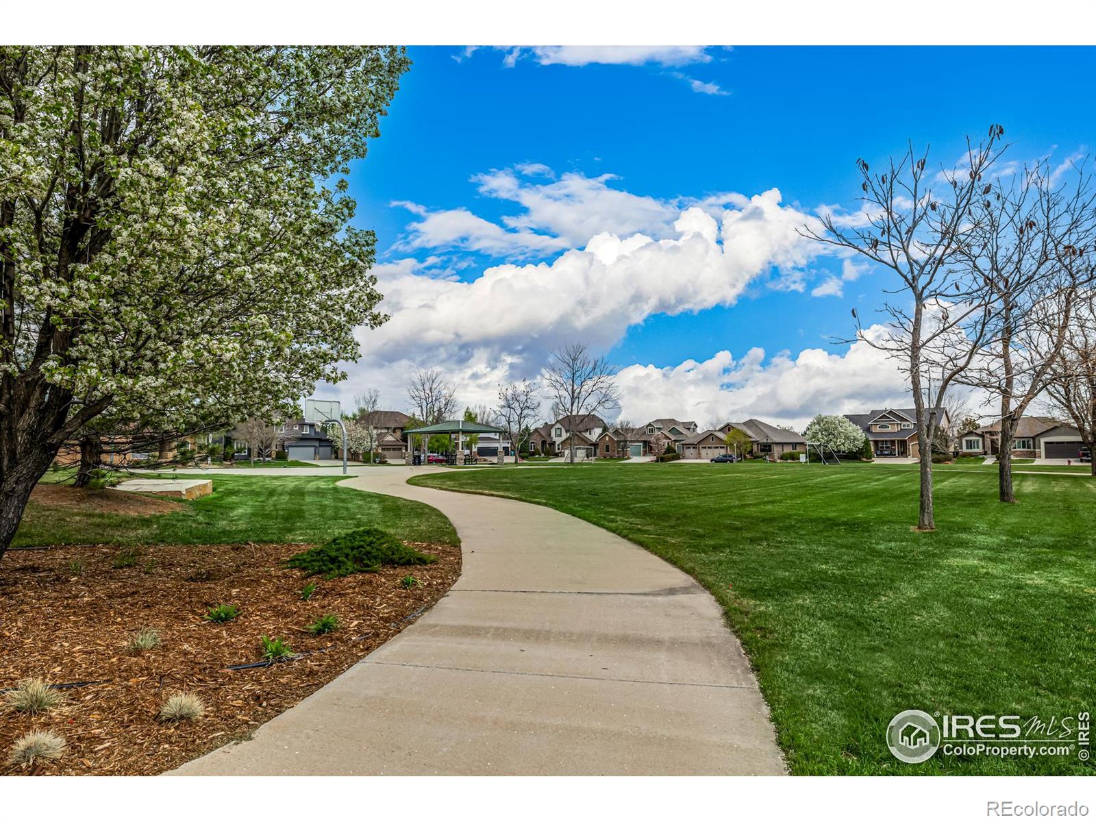 MLS Image #37 for 6588  aberdour circle,windsor, Colorado