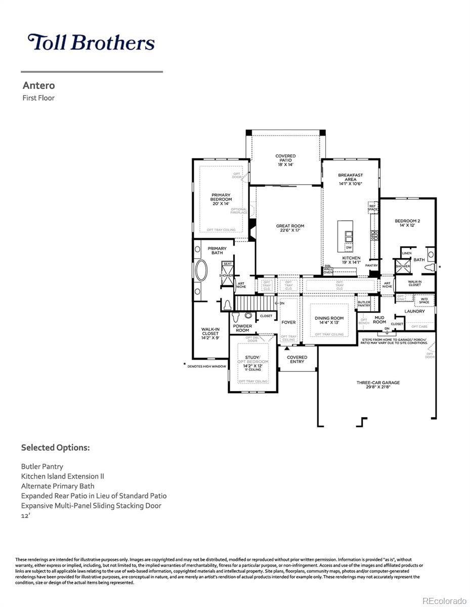 MLS Image #11 for 574  agoseris way,castle rock, Colorado