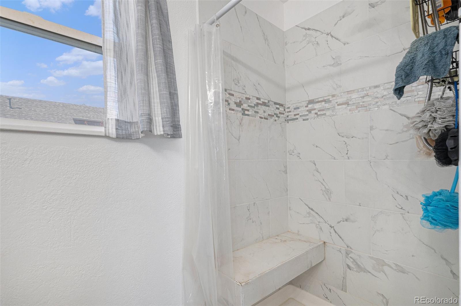 MLS Image #18 for 8653  red clover court,parker, Colorado