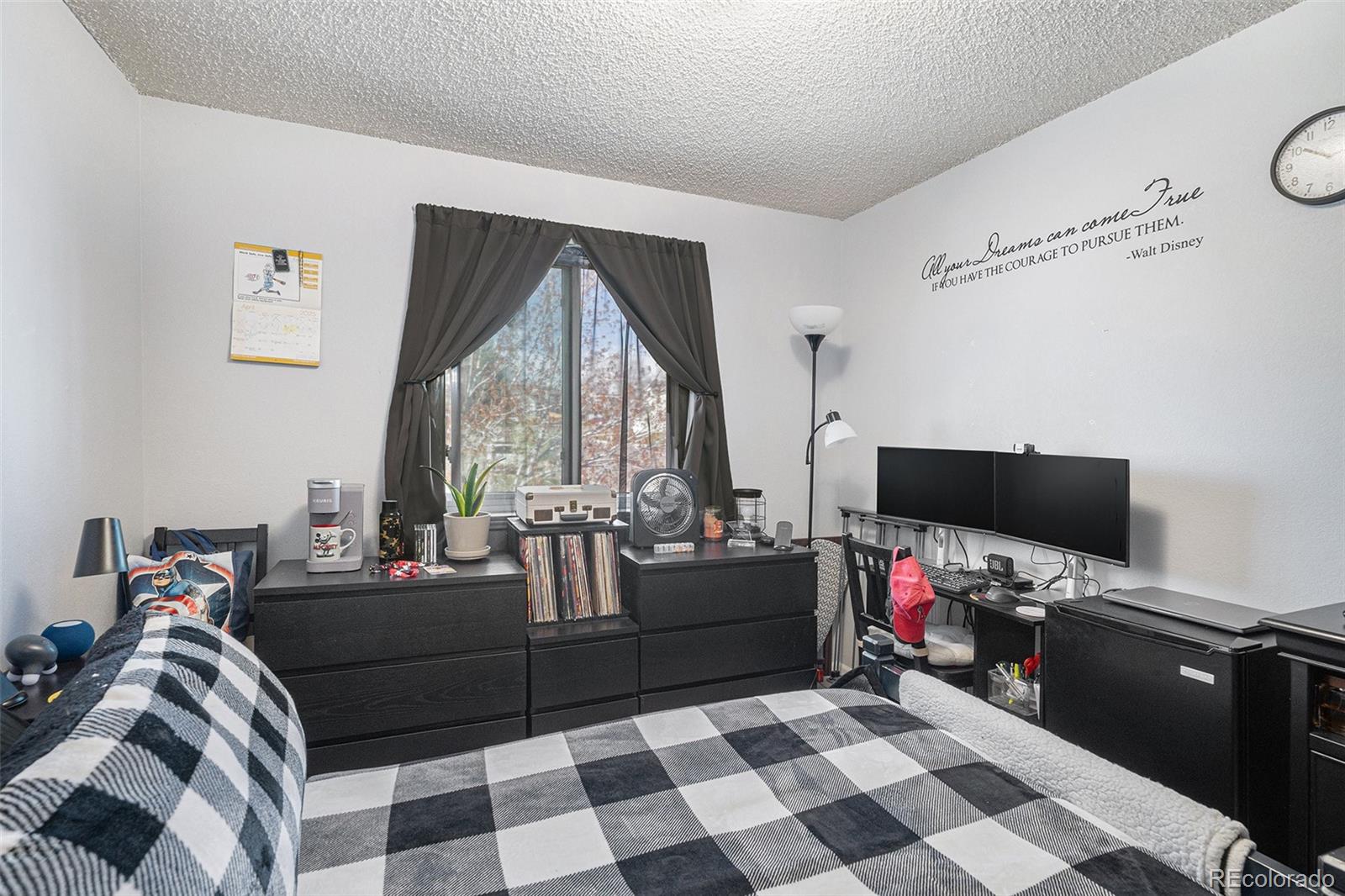 MLS Image #19 for 8653  red clover court,parker, Colorado