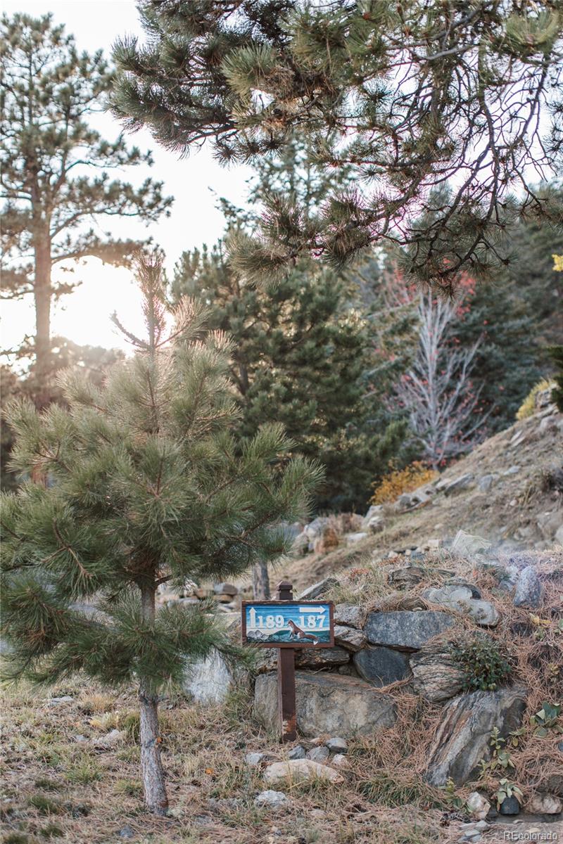 MLS Image #12 for 187  fox ridge drive,evergreen, Colorado