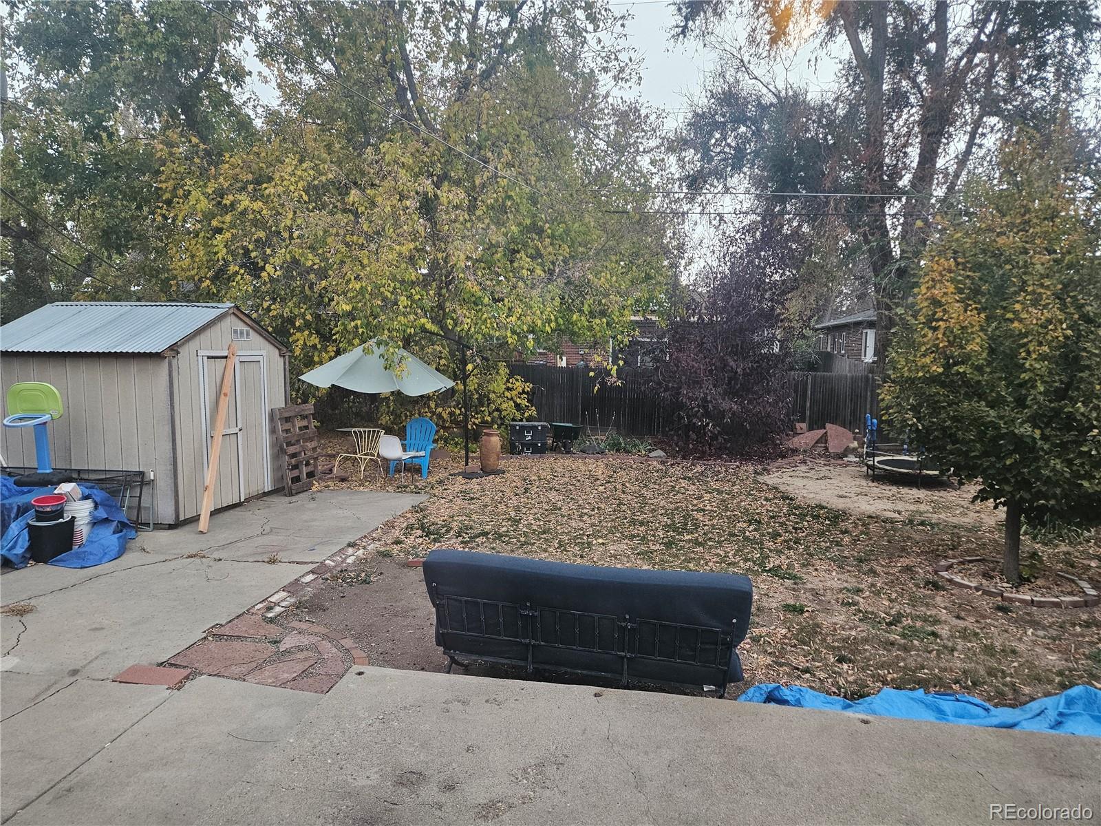 MLS Image #11 for 1117  jersey street,denver, Colorado