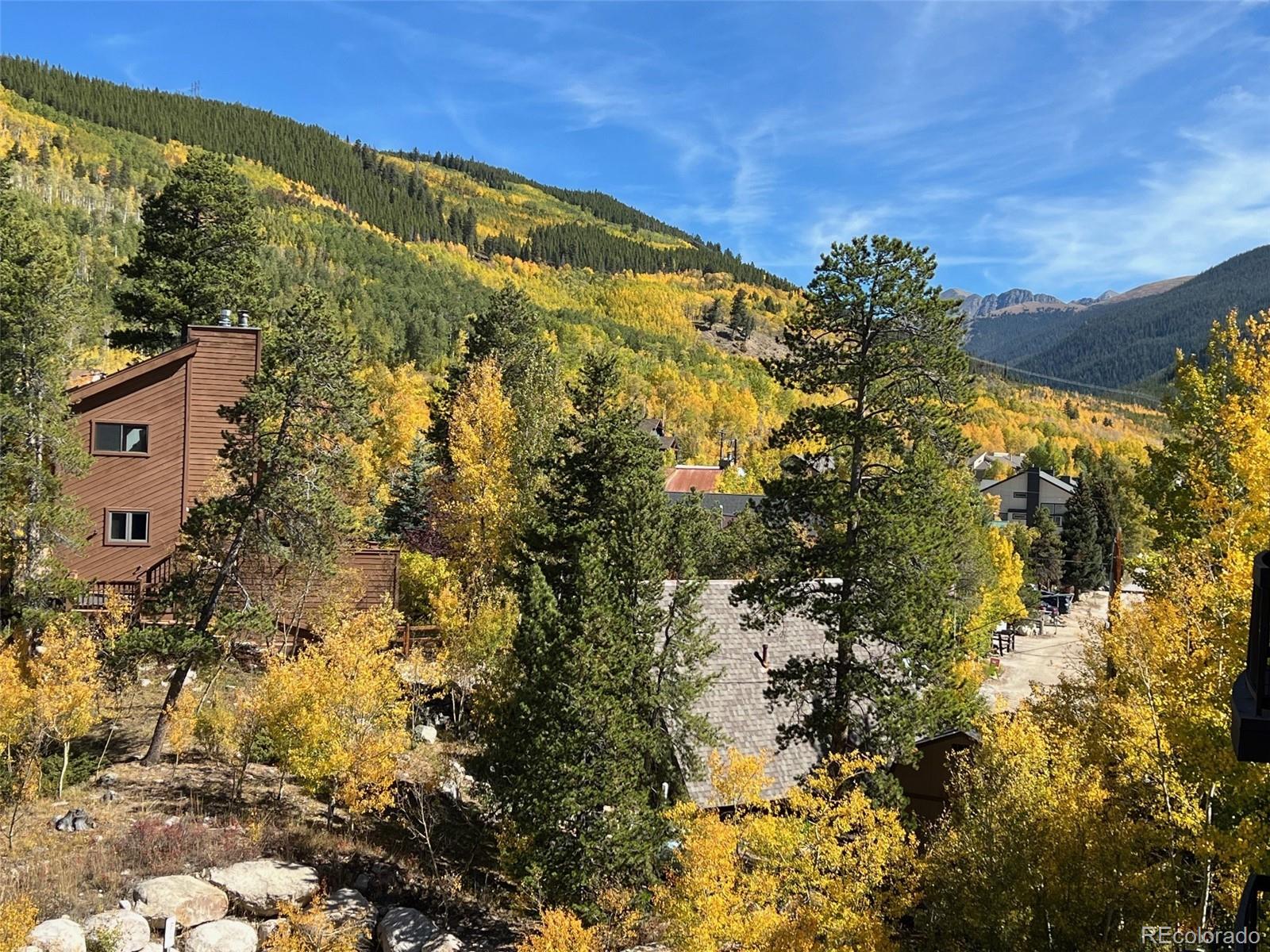 MLS Image #9 for 22787  us highway 6 ,keystone, Colorado