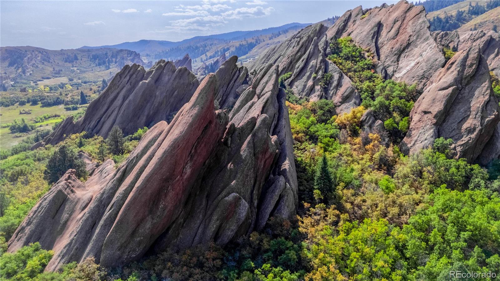 MLS Image #9 for 4636  ponderosa trail,littleton, Colorado