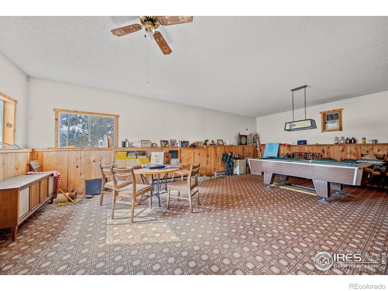 MLS Image #18 for 329  snow top drive,drake, Colorado