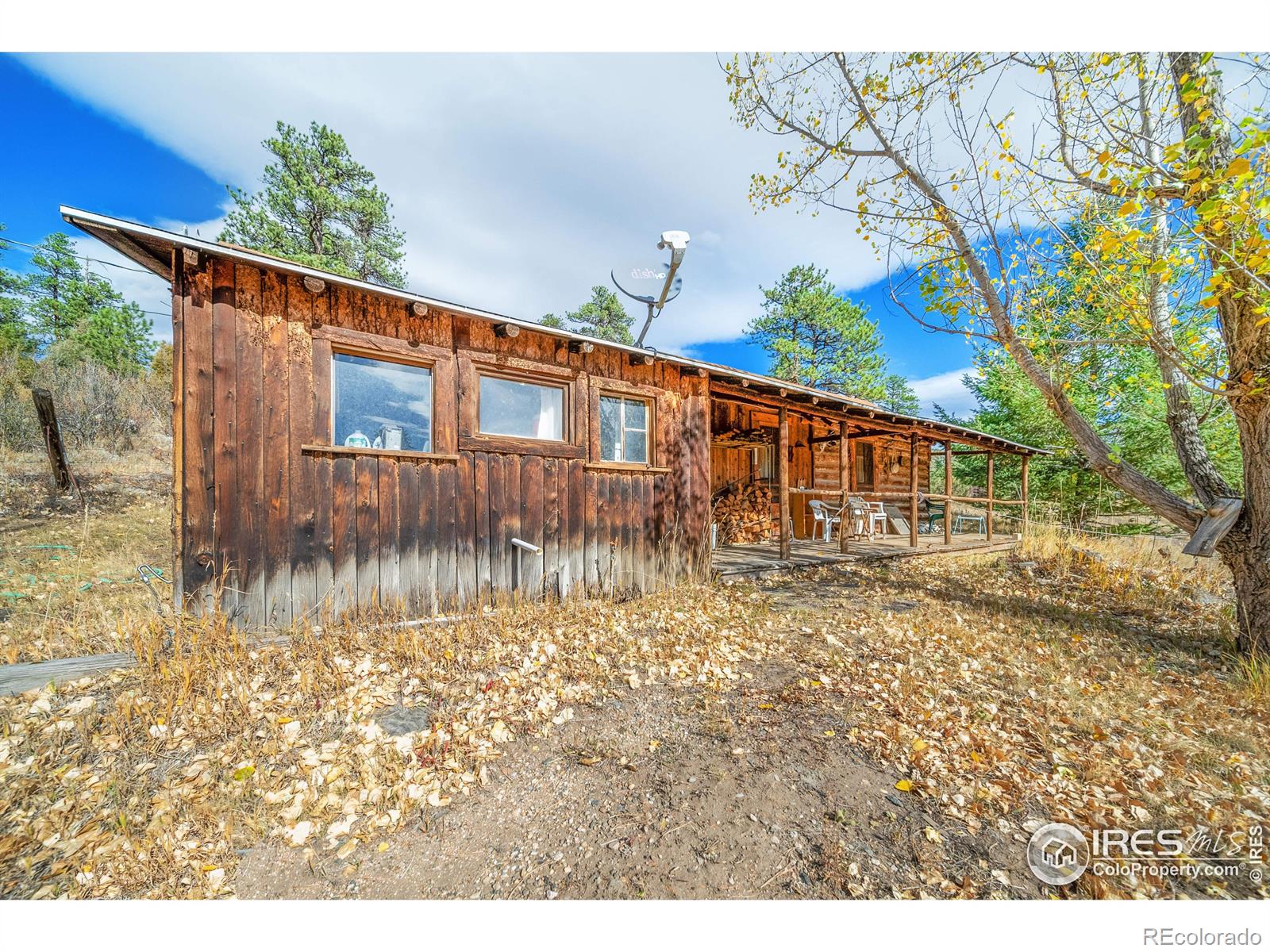 MLS Image #21 for 329  snow top drive,drake, Colorado