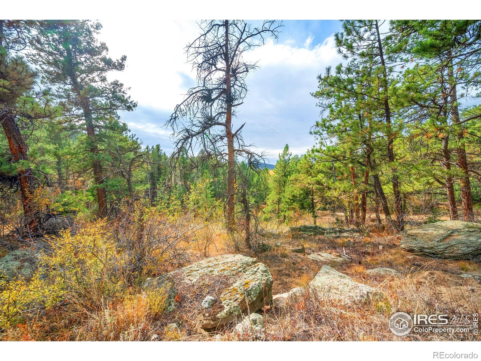 MLS Image #27 for 329  snow top drive,drake, Colorado