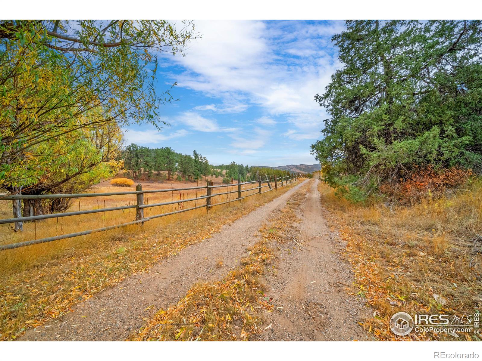 MLS Image #37 for 329  snow top drive,drake, Colorado