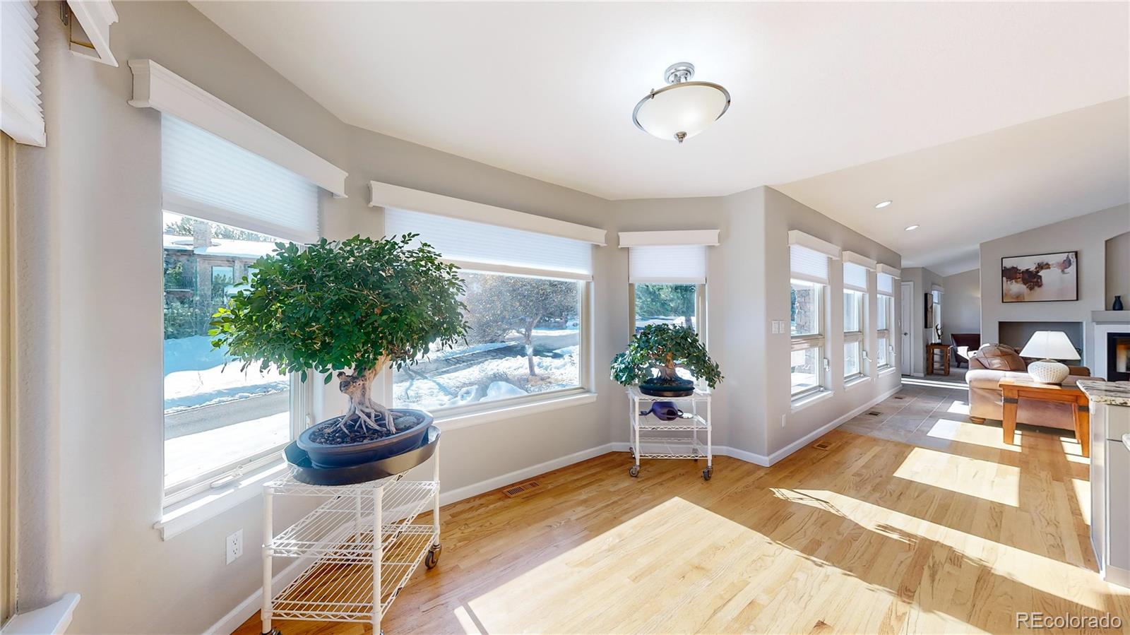 MLS Image #11 for 6260  rain dance trail,littleton, Colorado