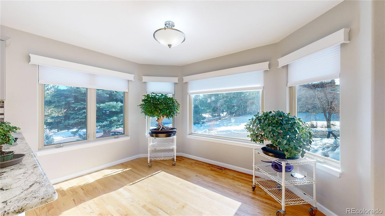 MLS Image #12 for 6260  rain dance trail,littleton, Colorado