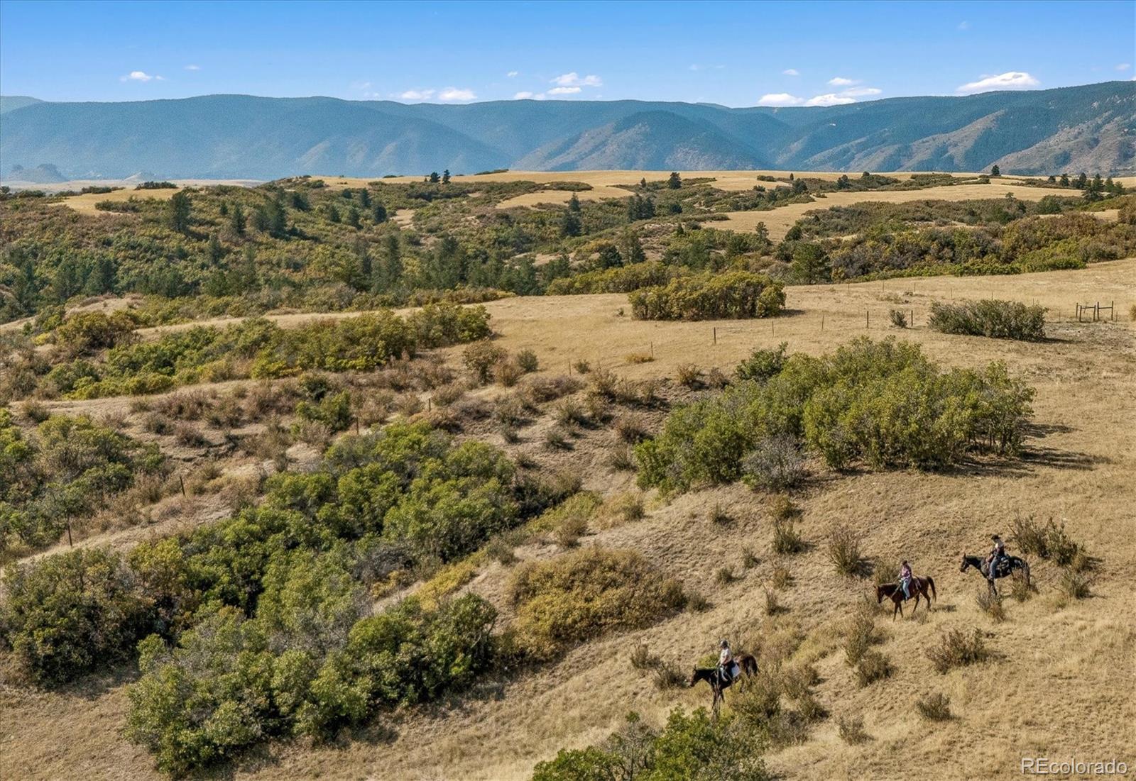 MLS Image #47 for 4880  tall horse trail,sedalia, Colorado