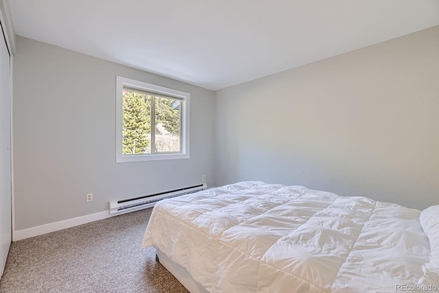 MLS Image #23 for 1274  baldy road 3,breckenridge, Colorado