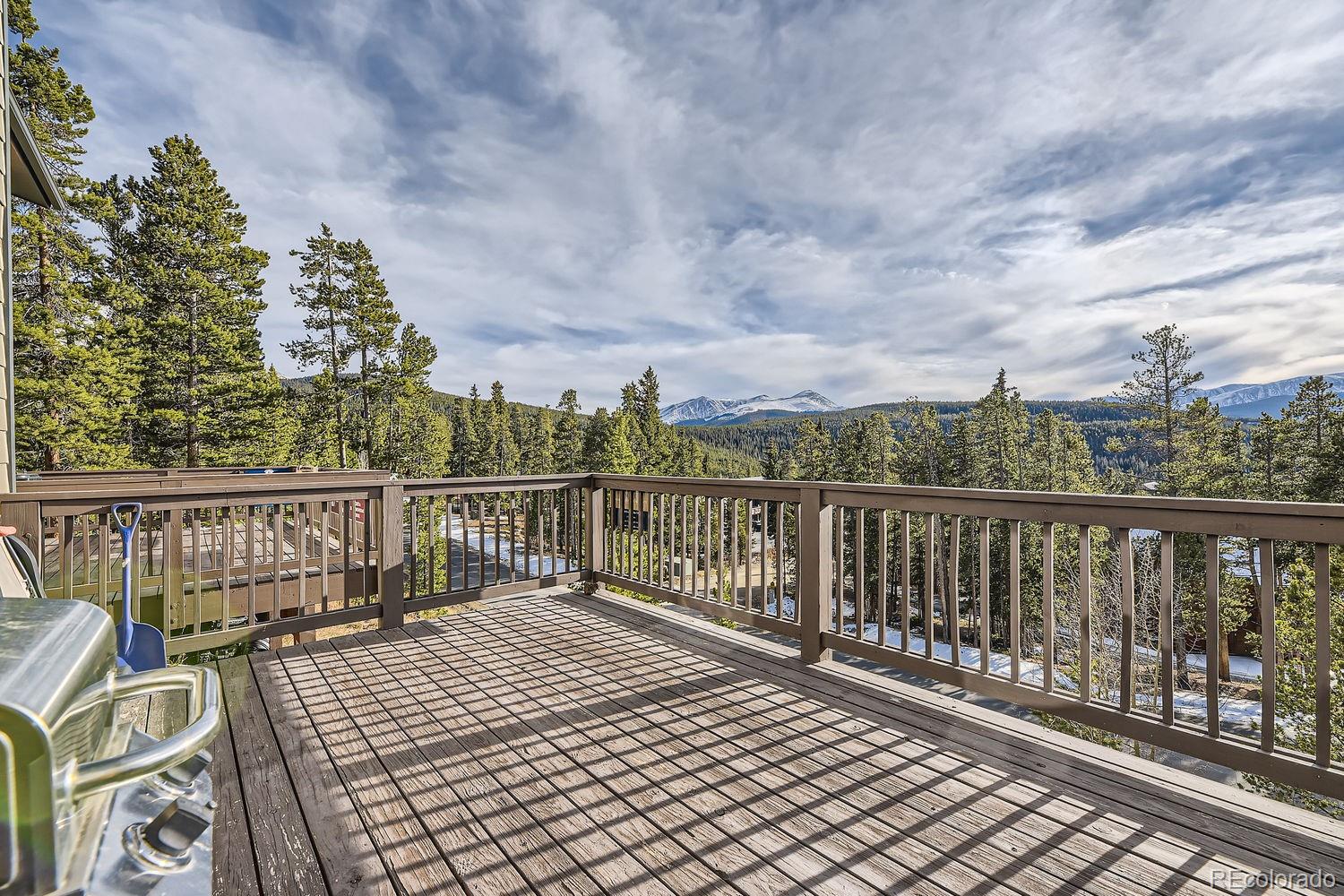 MLS Image #28 for 1274  baldy road 3,breckenridge, Colorado